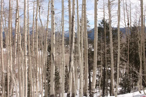 a view of a door in the backyard