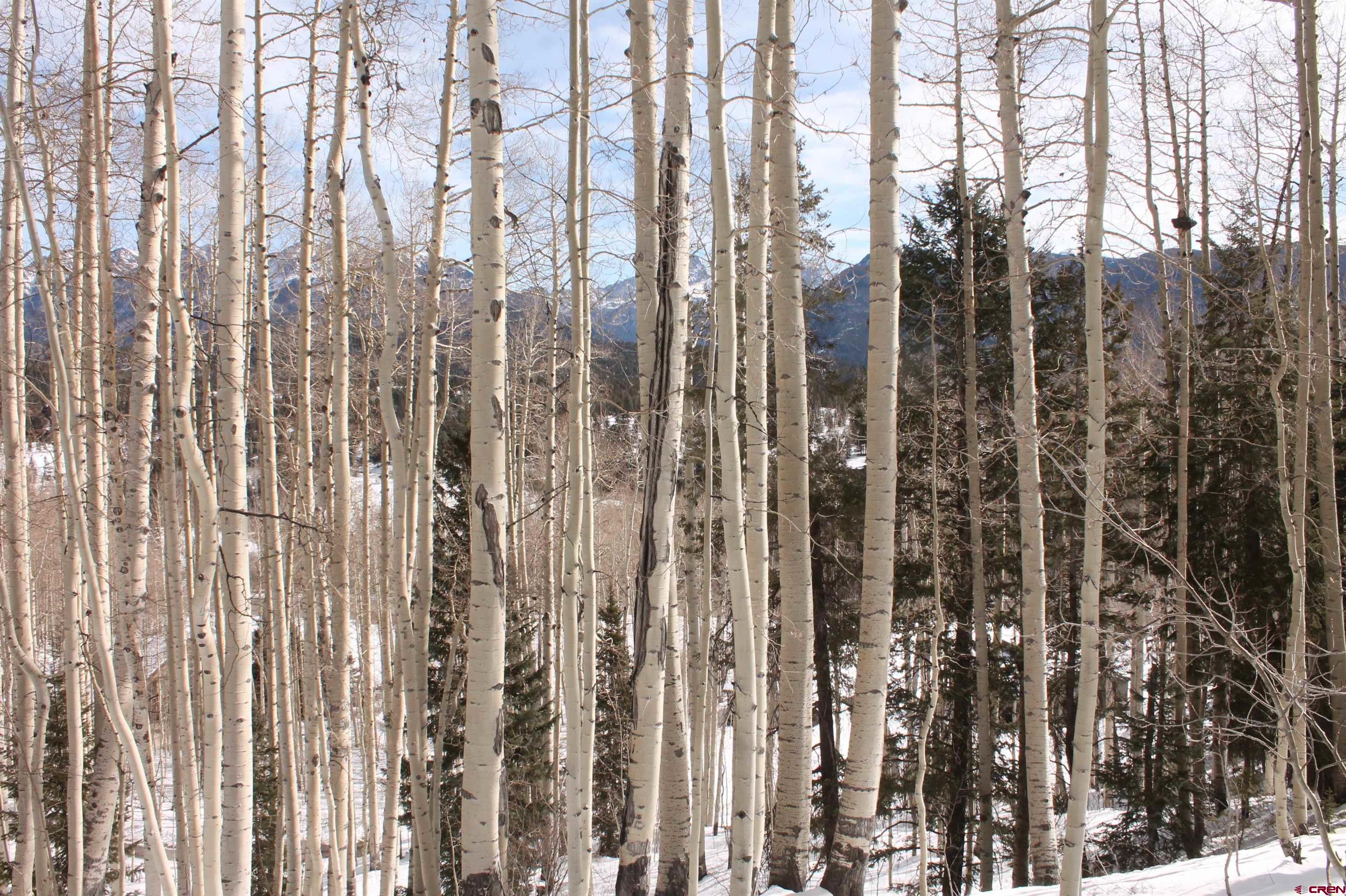 577 Falcon Ridge Road Durango, CO 81301 - Photo 31 of 36 Gallery Image 31