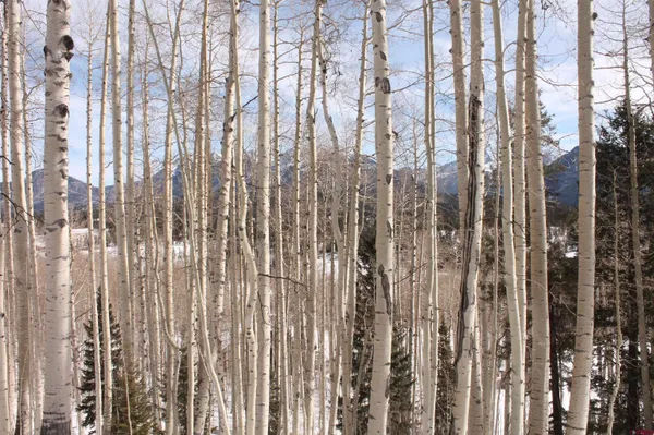 a view of a house with a snow