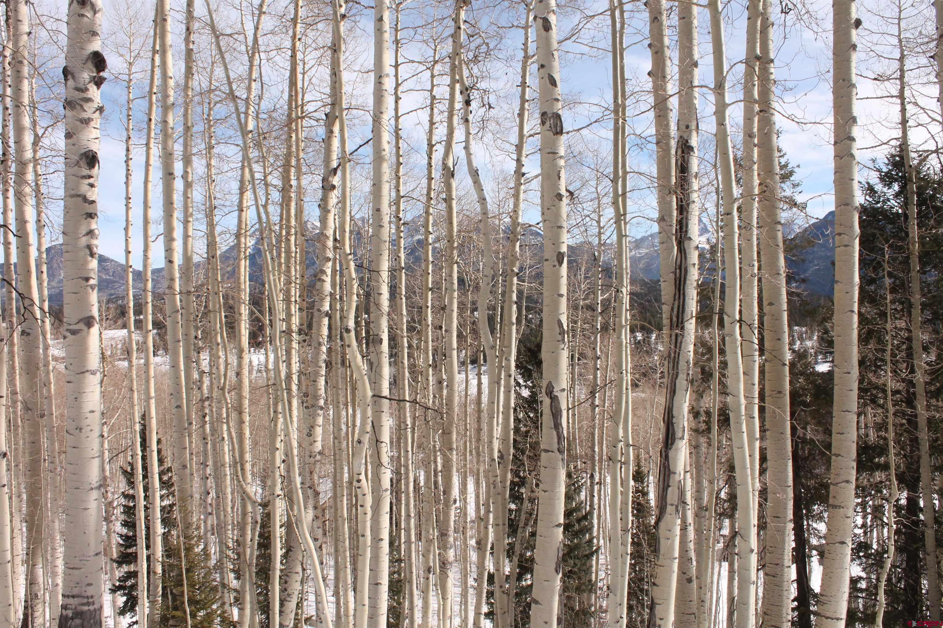 577 Falcon Ridge Road Durango, CO 81301 - Photo 32 of 36 Gallery Image 32