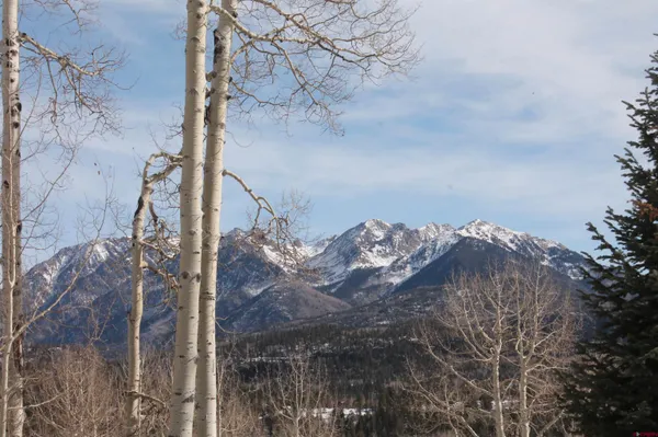 a view of a backyard of a house