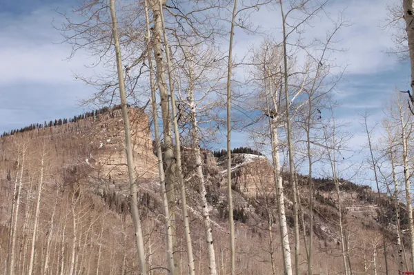 a view of a yard of the house