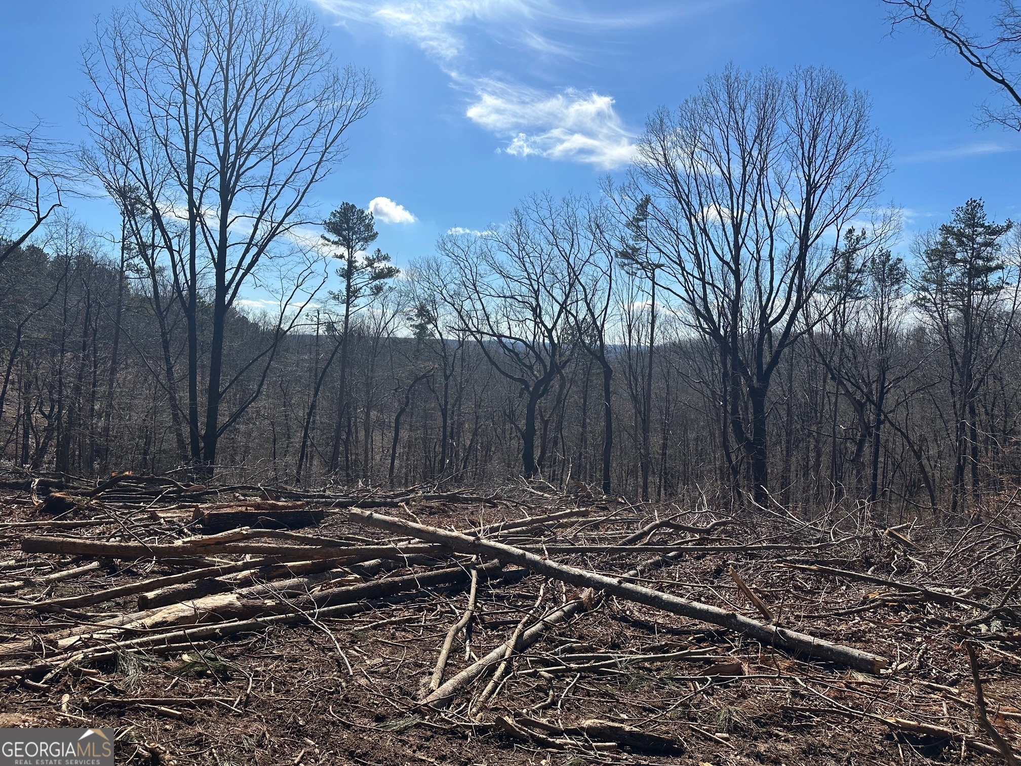 a view of a backyard