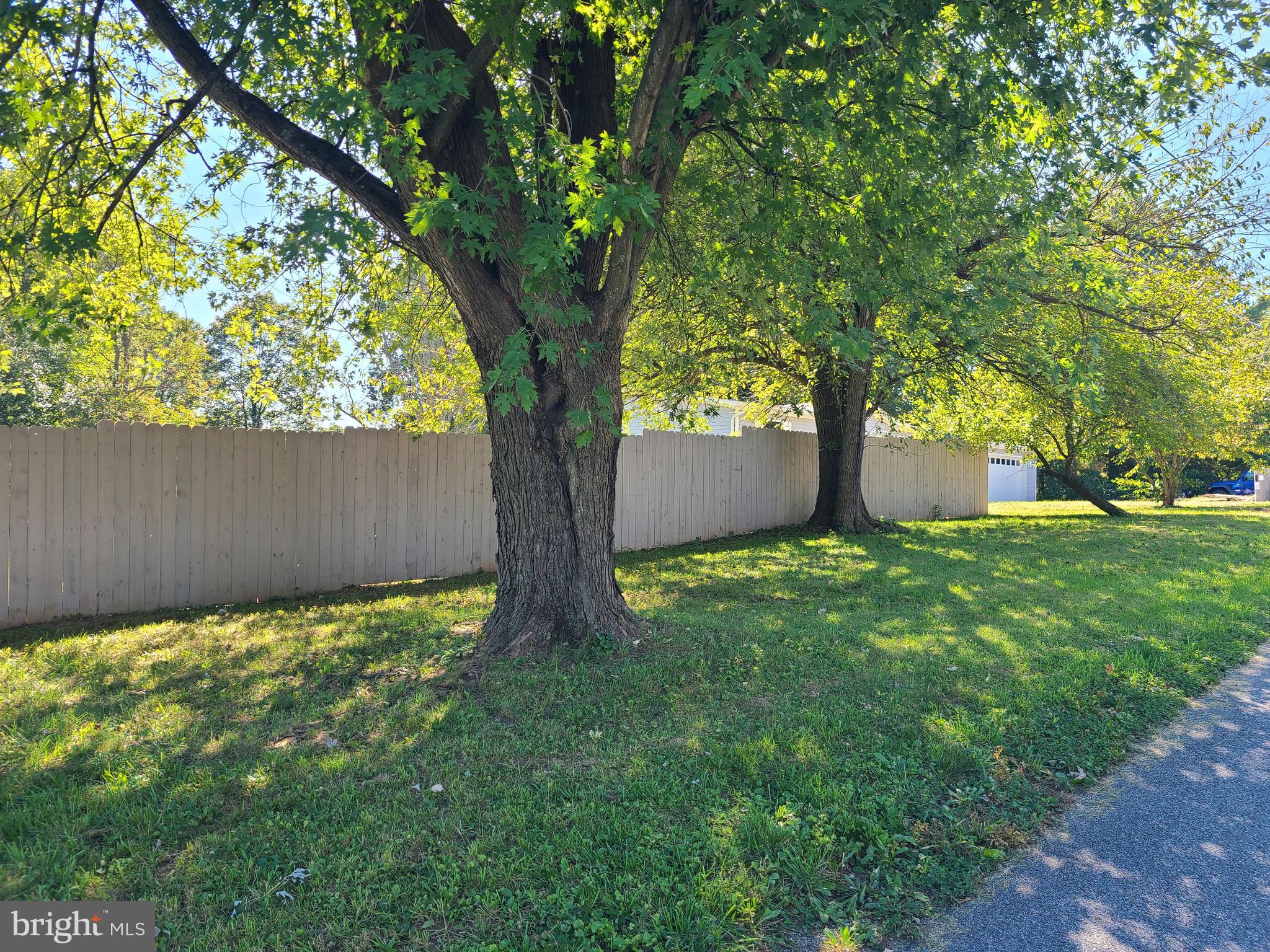 216 Meadow Trail Delta, PA 17314 - Photo 5 of 31 a view of a yard with a large tree