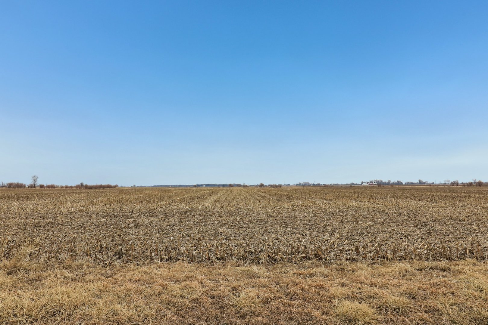 32309 South Cedar Road Manhattan, IL 60442 - Photo 3 of 11 a view of an ocean