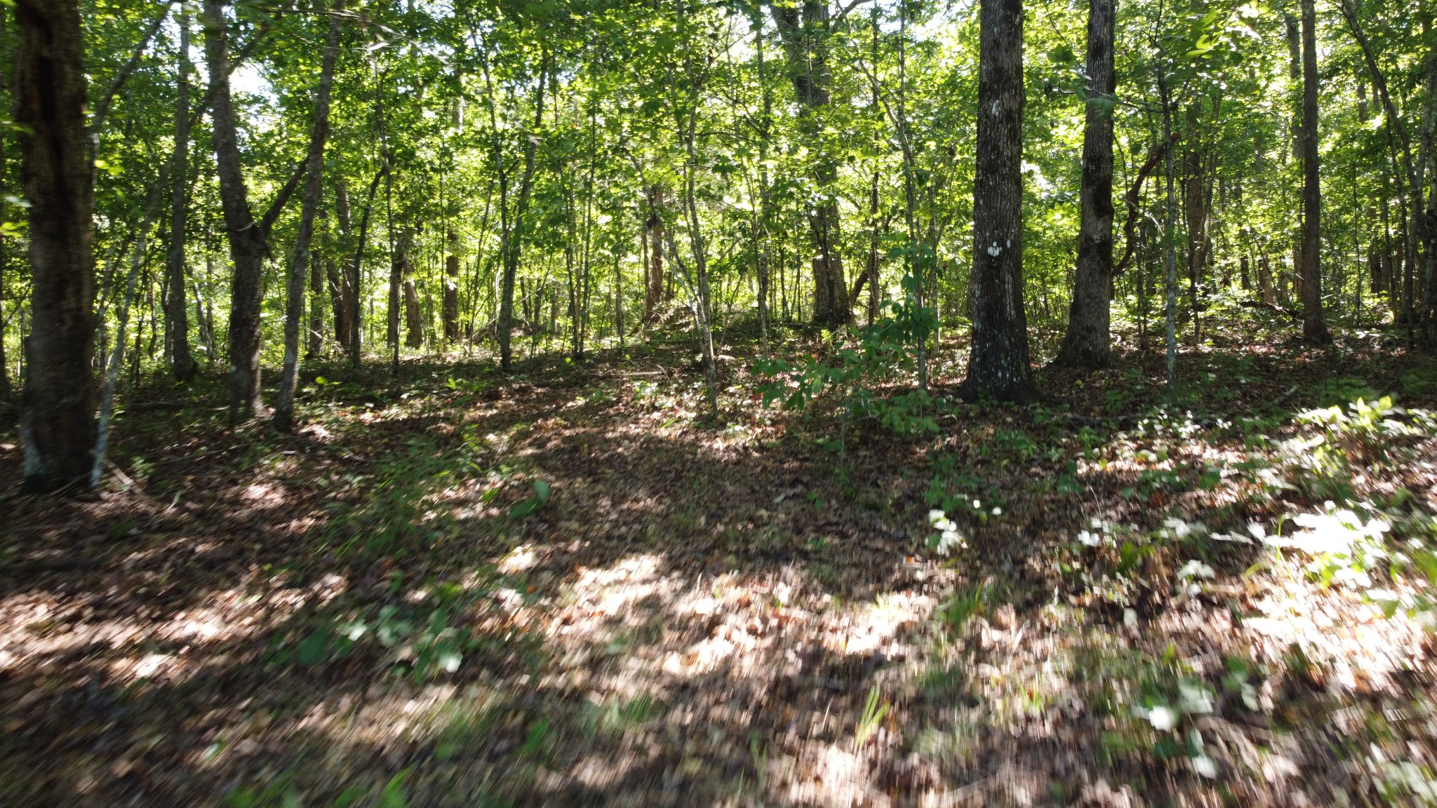 7778 Long Branch Road Spencer, TN 38585 - Photo 17 of 34 Gallery Image 17