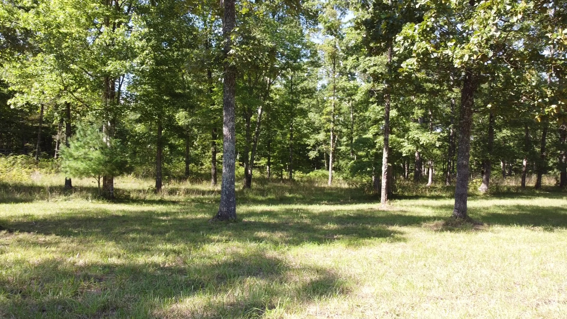 7778 Long Branch Road Spencer, TN 38585 - Photo 18 of 34 Gallery Image 18