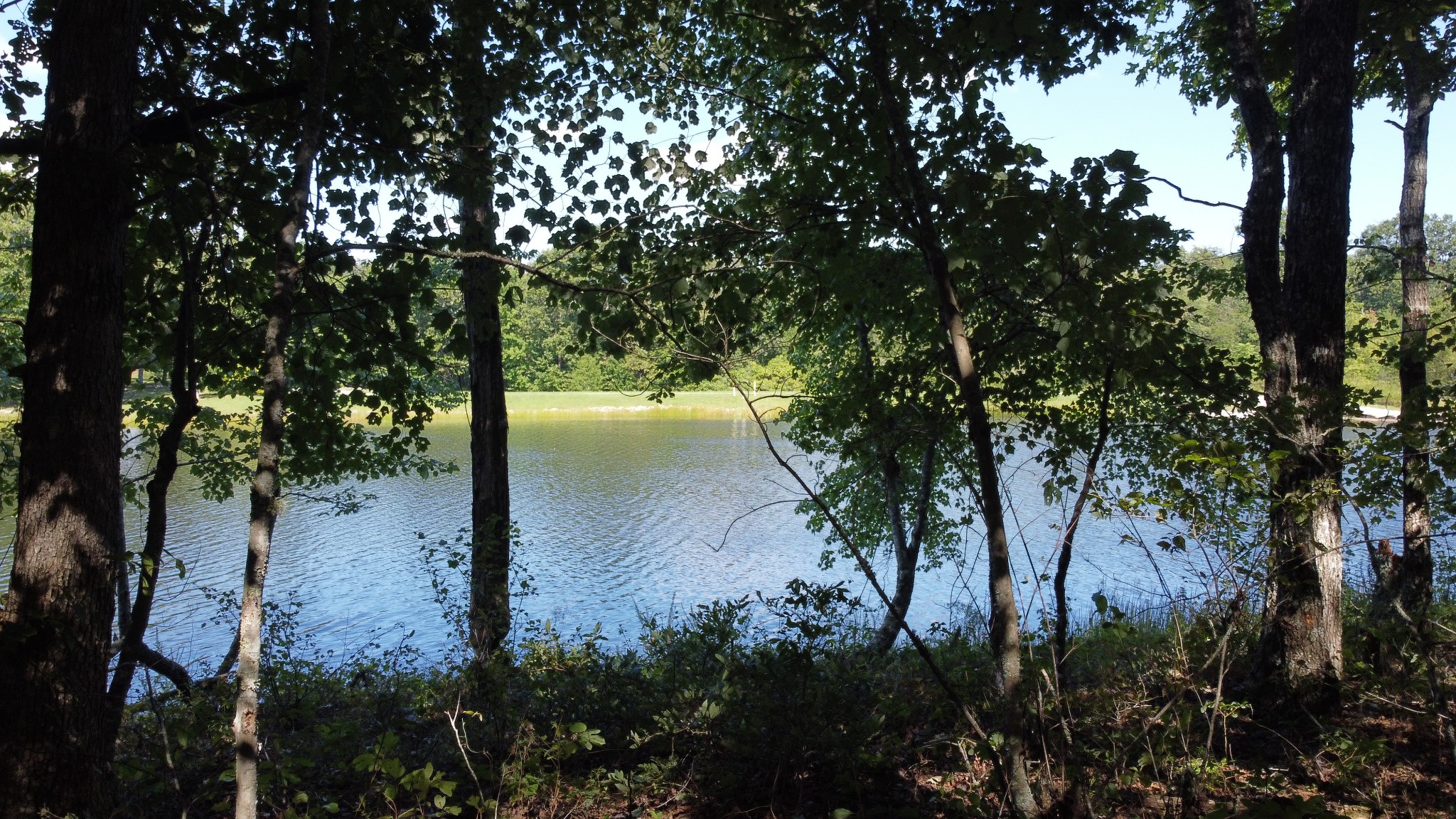 7778 Long Branch Road Spencer, TN 38585 - Photo 21 of 34 Gallery Image 21