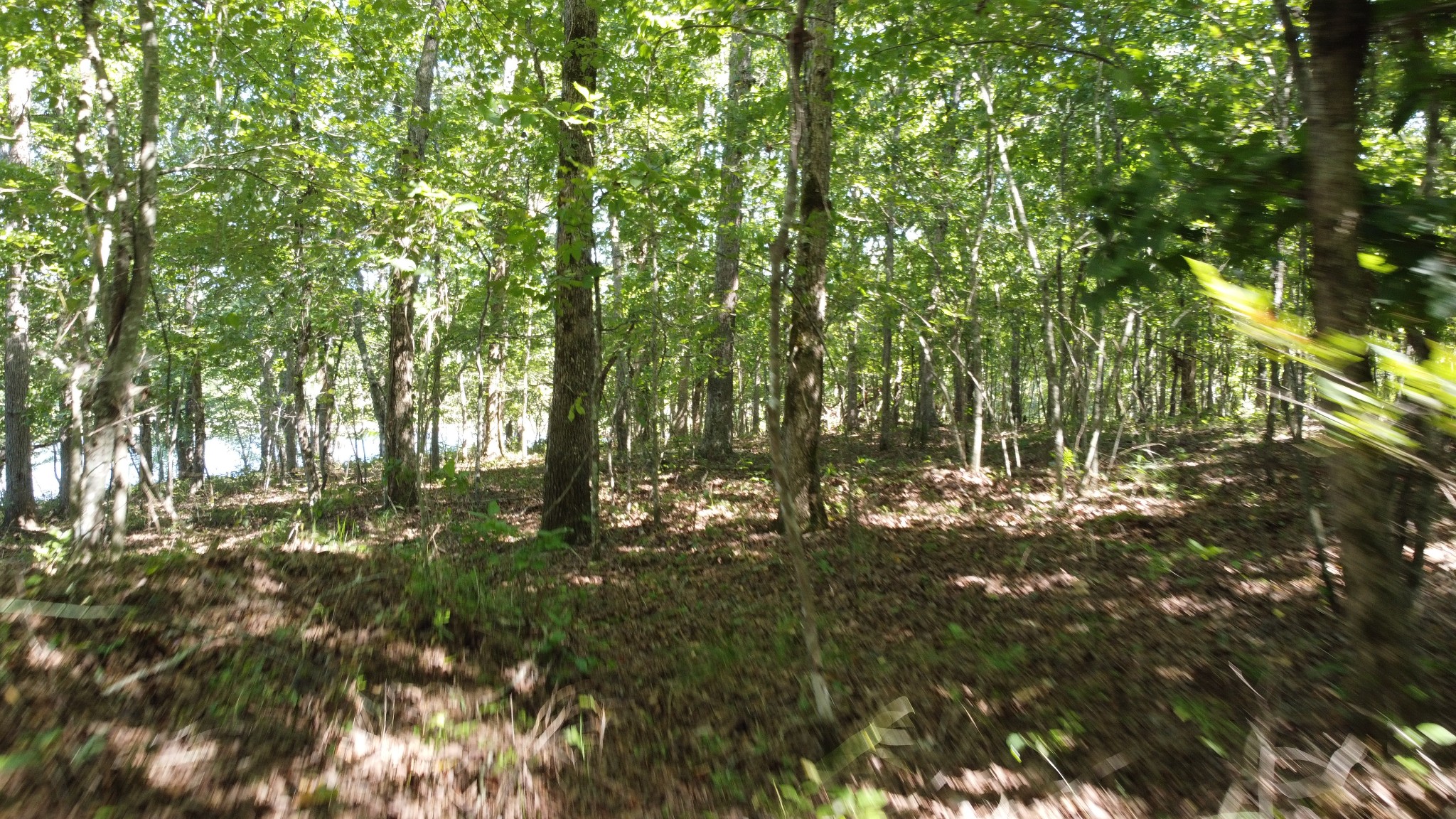 7778 Long Branch Road Spencer, TN 38585 - Photo 23 of 34 Gallery Image 23