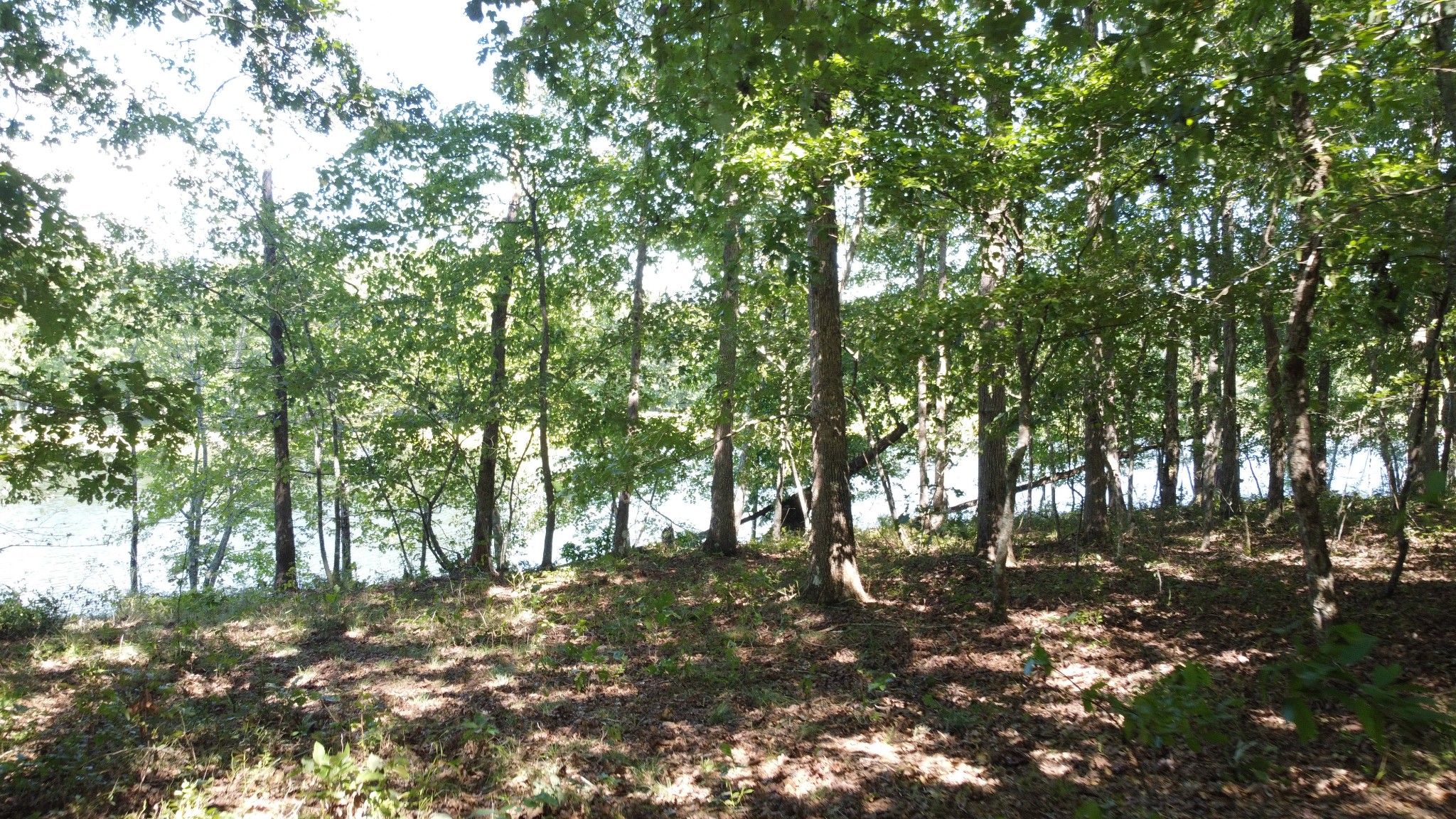 7778 Long Branch Road Spencer, TN 38585 - Photo 24 of 34 Gallery Image 24