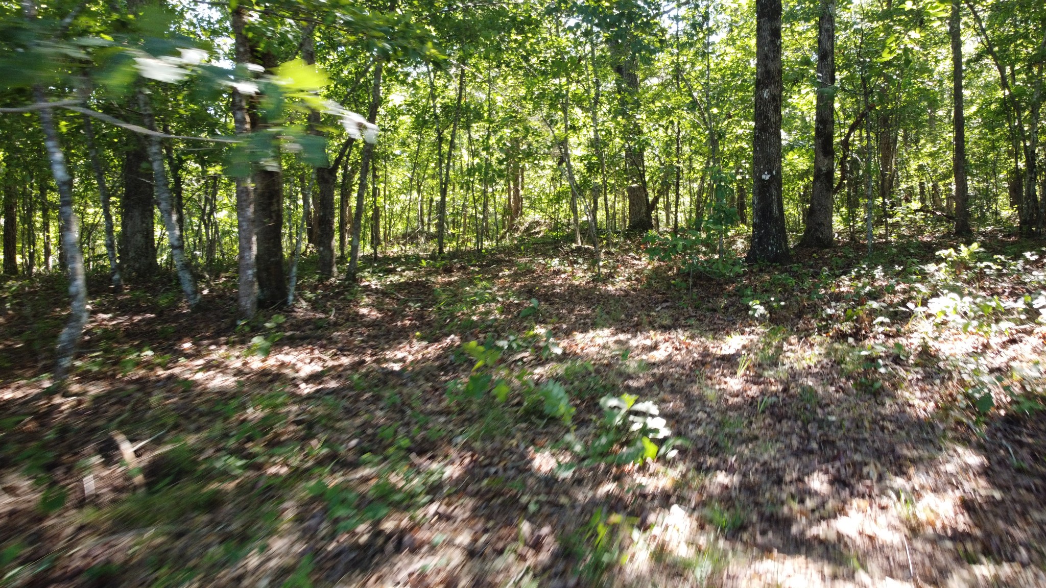 7778 Long Branch Road Spencer, TN 38585 - Photo 27 of 34 Gallery Image 27
