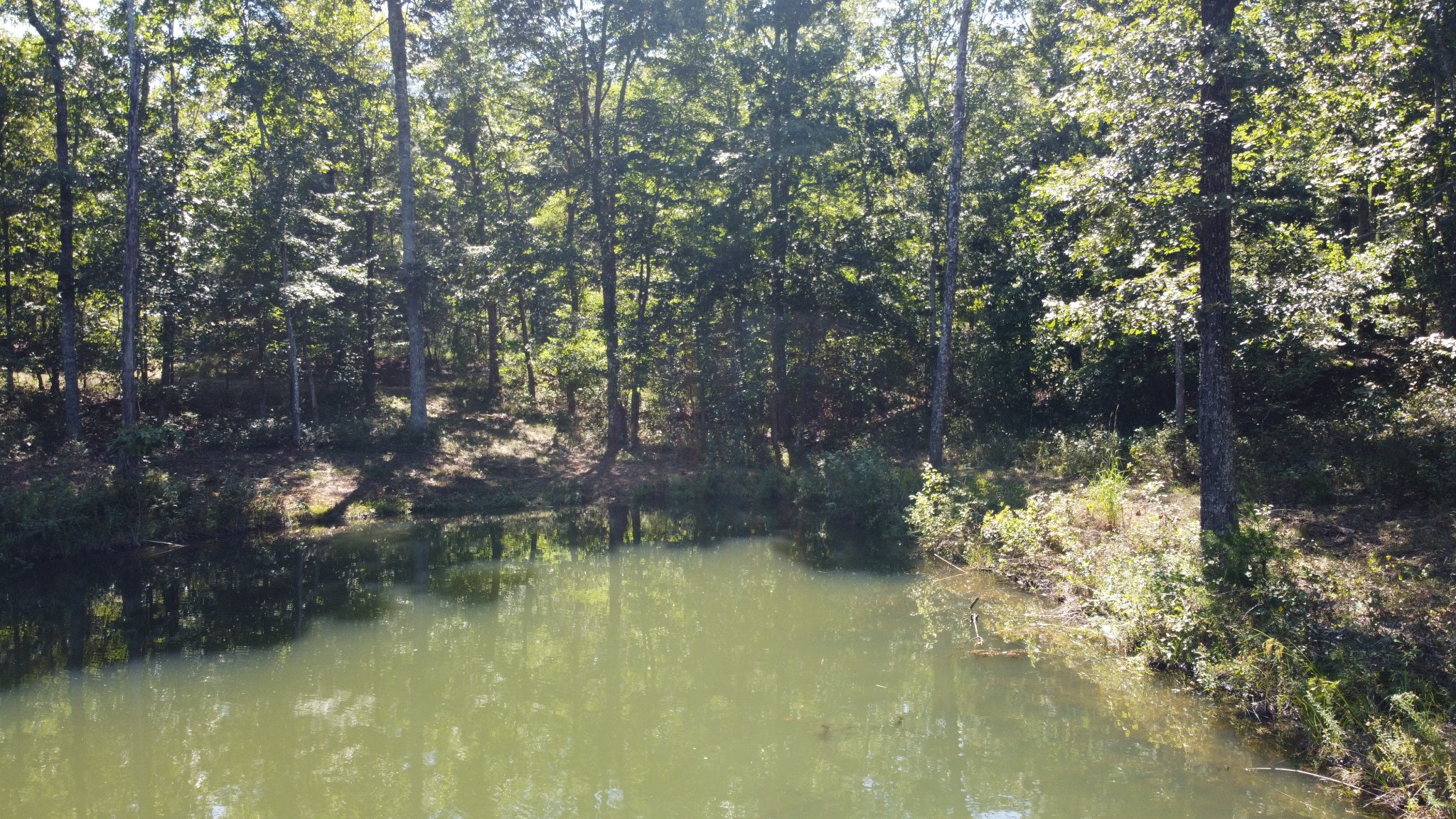 7778 Long Branch Road Spencer, TN 38585 - Photo 28 of 34 Gallery Image 28
