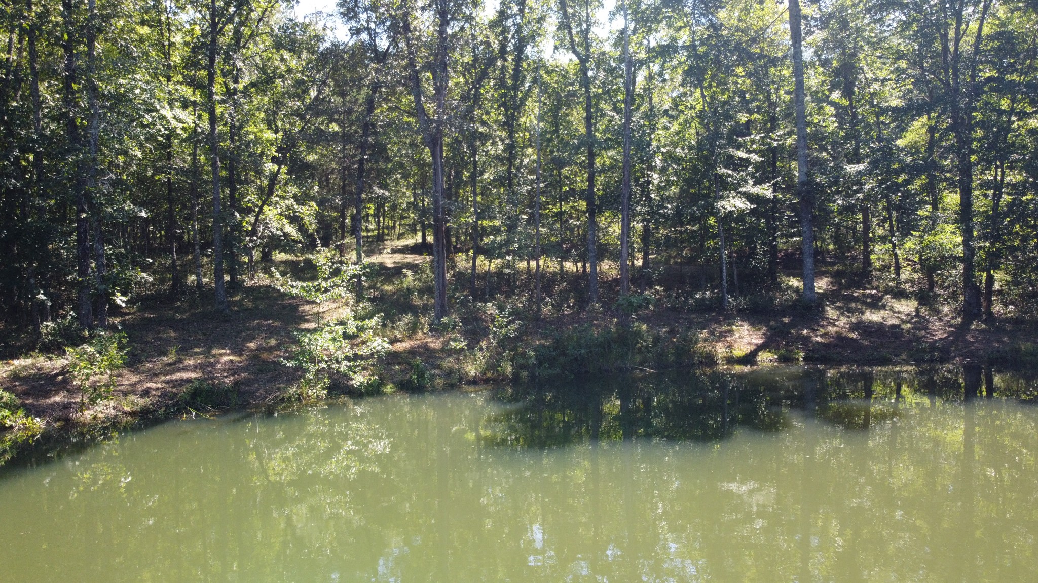 7778 Long Branch Road Spencer, TN 38585 - Photo 29 of 34 Gallery Image 29