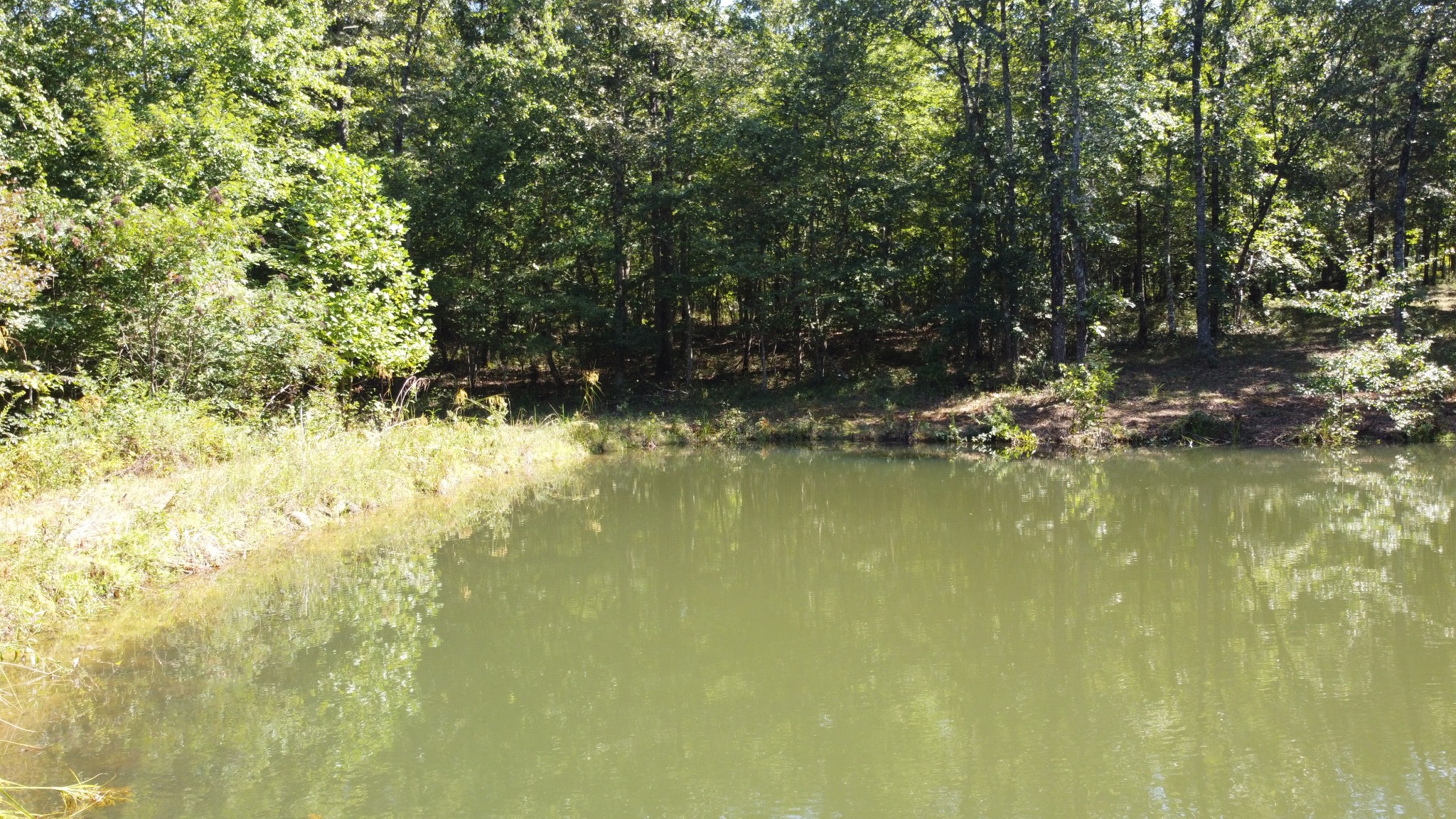 7778 Long Branch Road Spencer, TN 38585 - Photo 30 of 34 Gallery Image 30