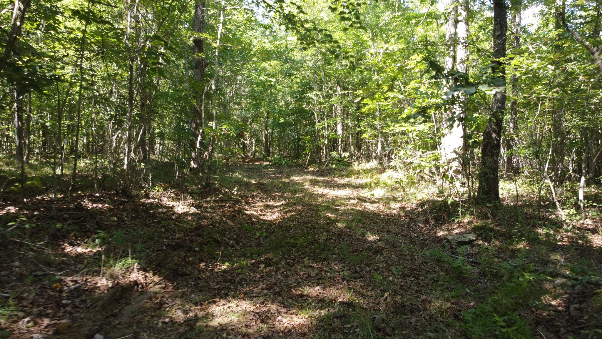 7778 Long Branch Road Spencer, TN 38585 - Photo 32 of 34 Gallery Image 32