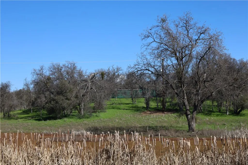 0 Douglas Road Coarsegold, CA 93614 - Photo 21 of 32