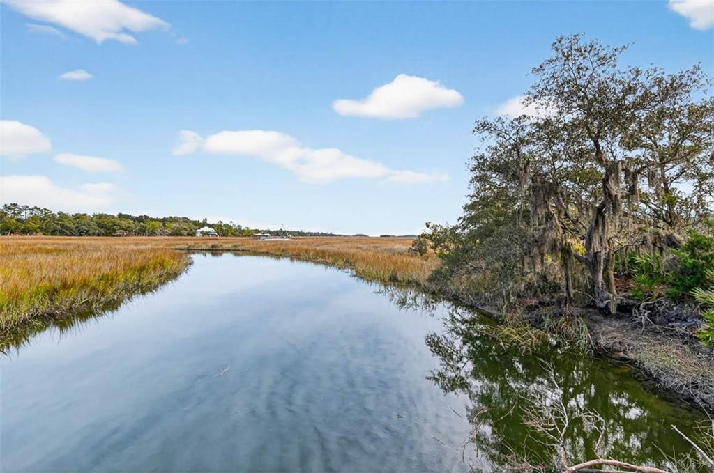 Lot 35 St Joseph's Point Darien, GA 31305 - Photo 7 of 26