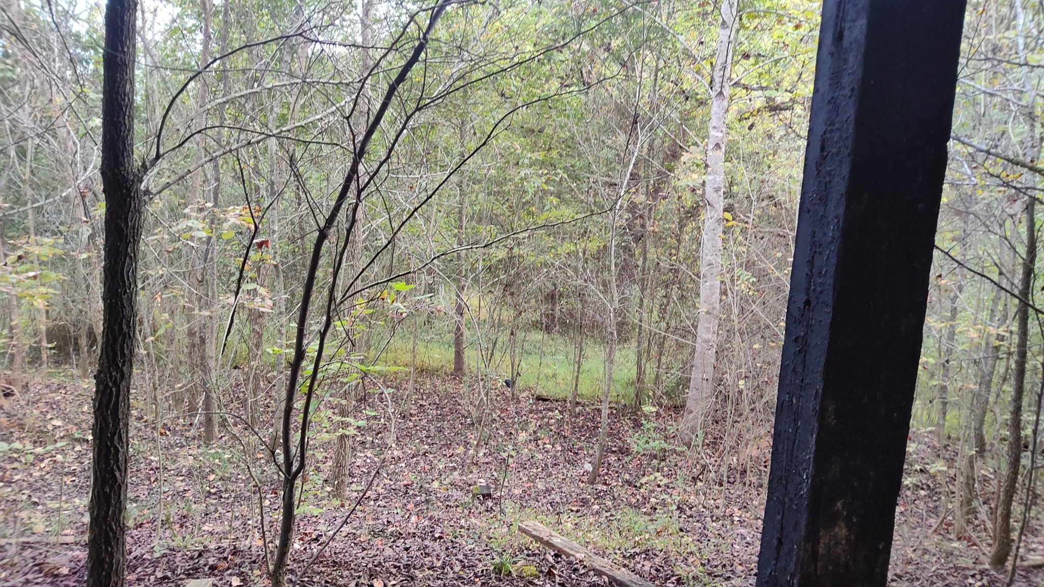 691 Summertown Road, Unit TRACT #3 Jasper, TN 37347 - Photo 3 of 17