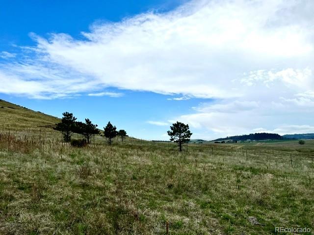 11977 Haskell Creek Road Larkspur, CO 80118 - Photo 12 of 29