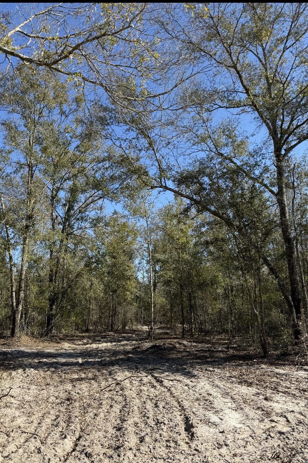 2 Highway 90 Holt, FL 32564 - Photo 10 of 24