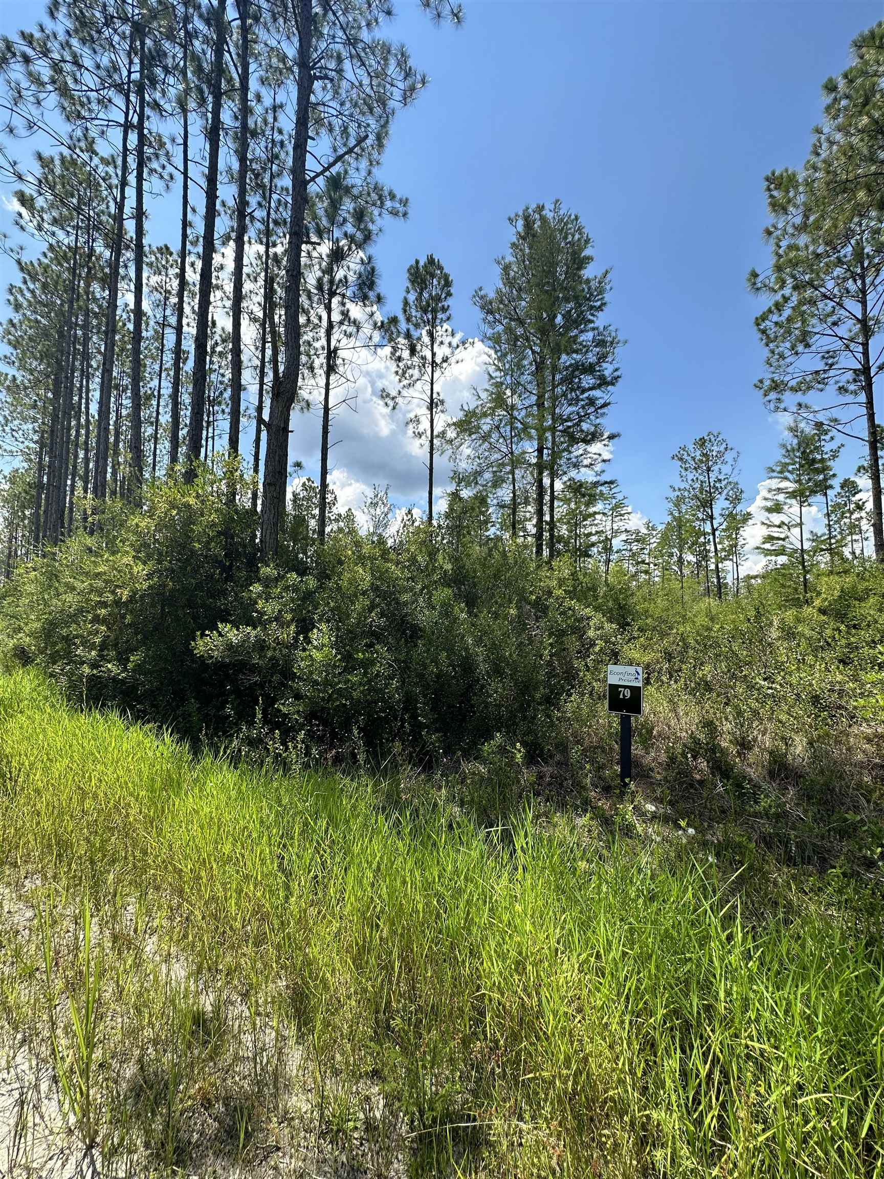 79 Circle Block Loop Perry, FL 32347 - Photo 11 of 34