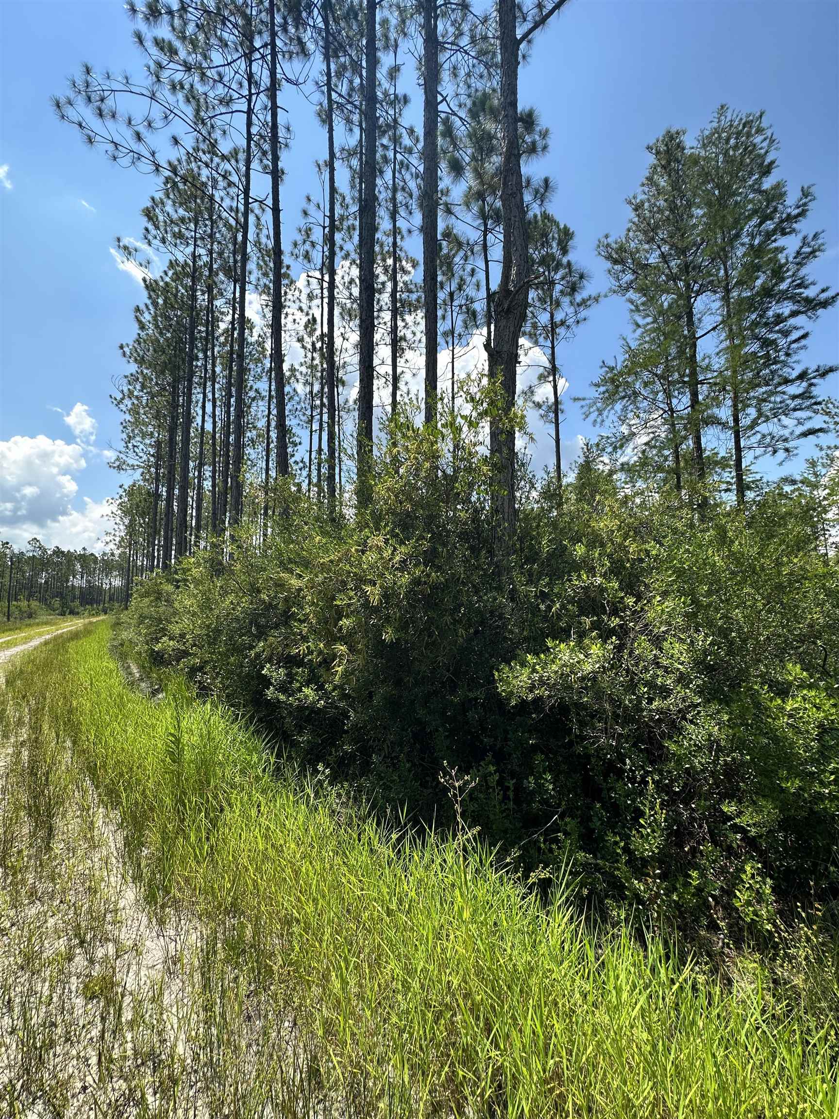 79 Circle Block Loop Perry, FL 32347 - Photo 12 of 34