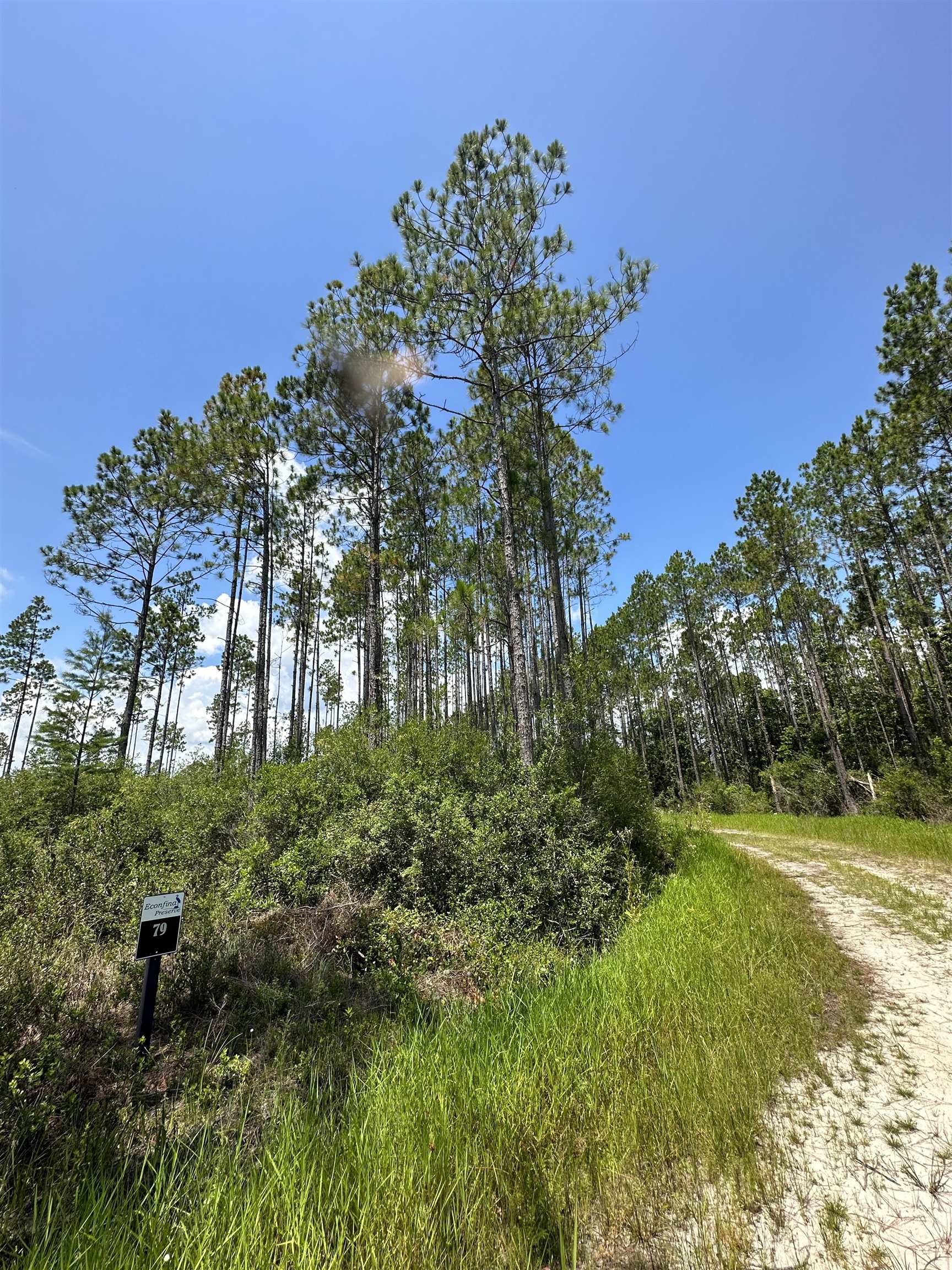 79 Circle Block Loop Perry, FL 32347 - Photo 13 of 34
