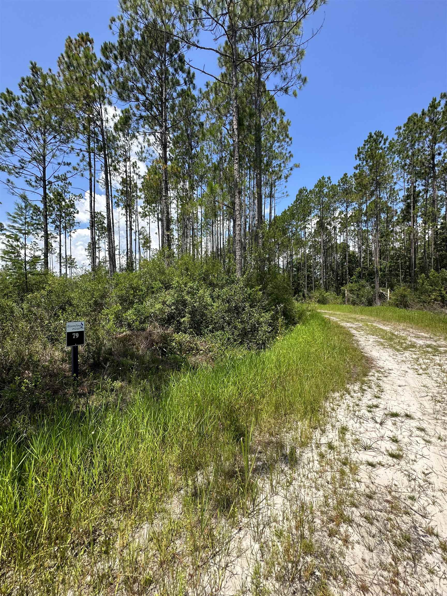 79 Circle Block Loop Perry, FL 32347 - Photo 14 of 34