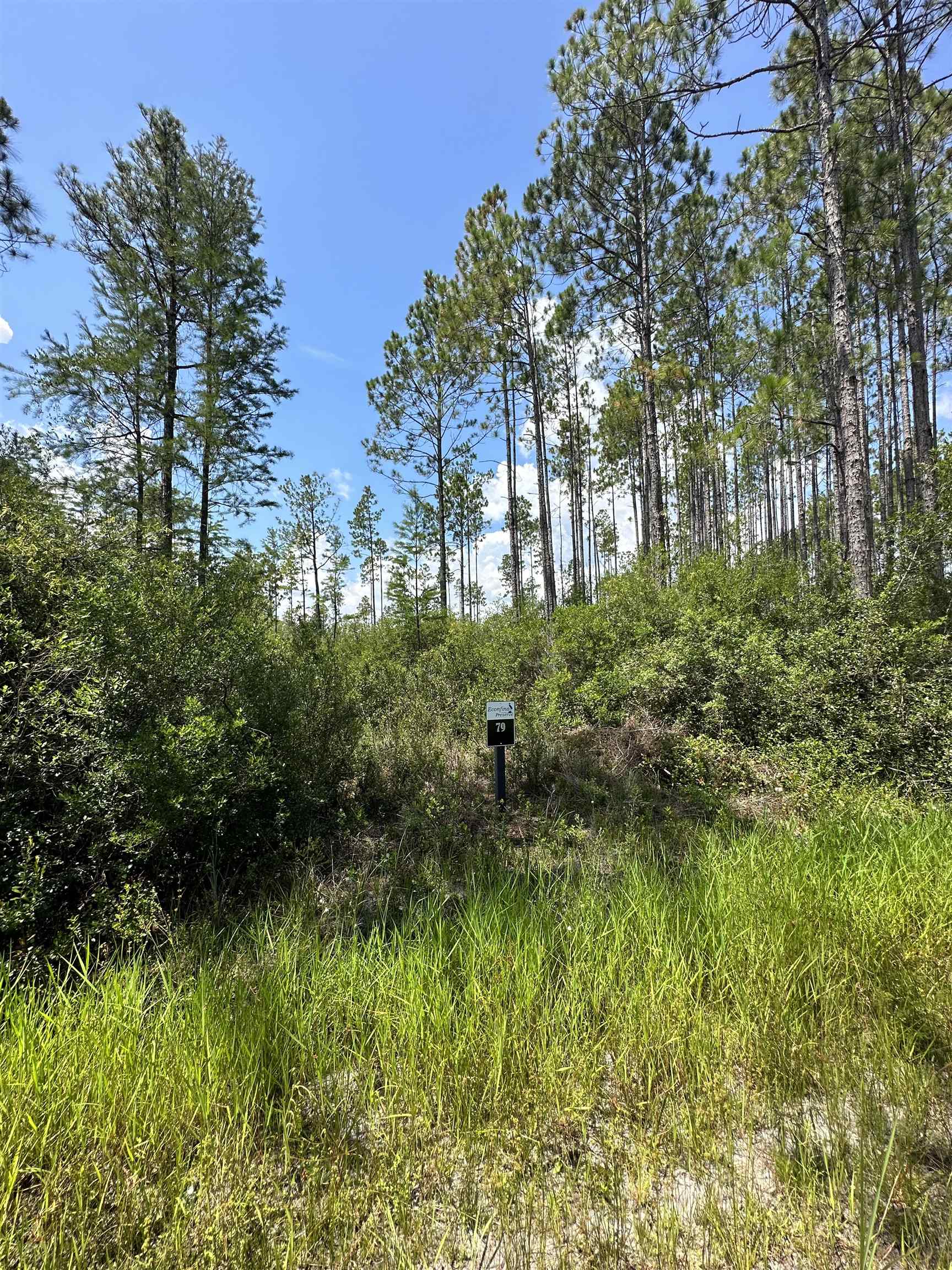 79 Circle Block Loop Perry, FL 32347 - Photo 15 of 34