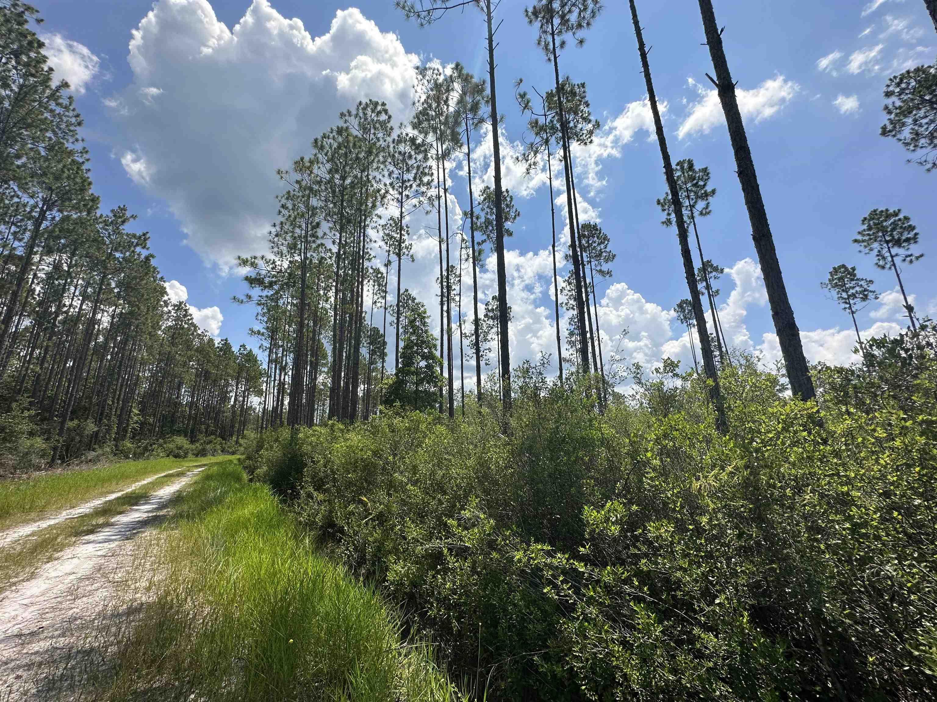 79 Circle Block Loop Perry, FL 32347 - Photo 17 of 34