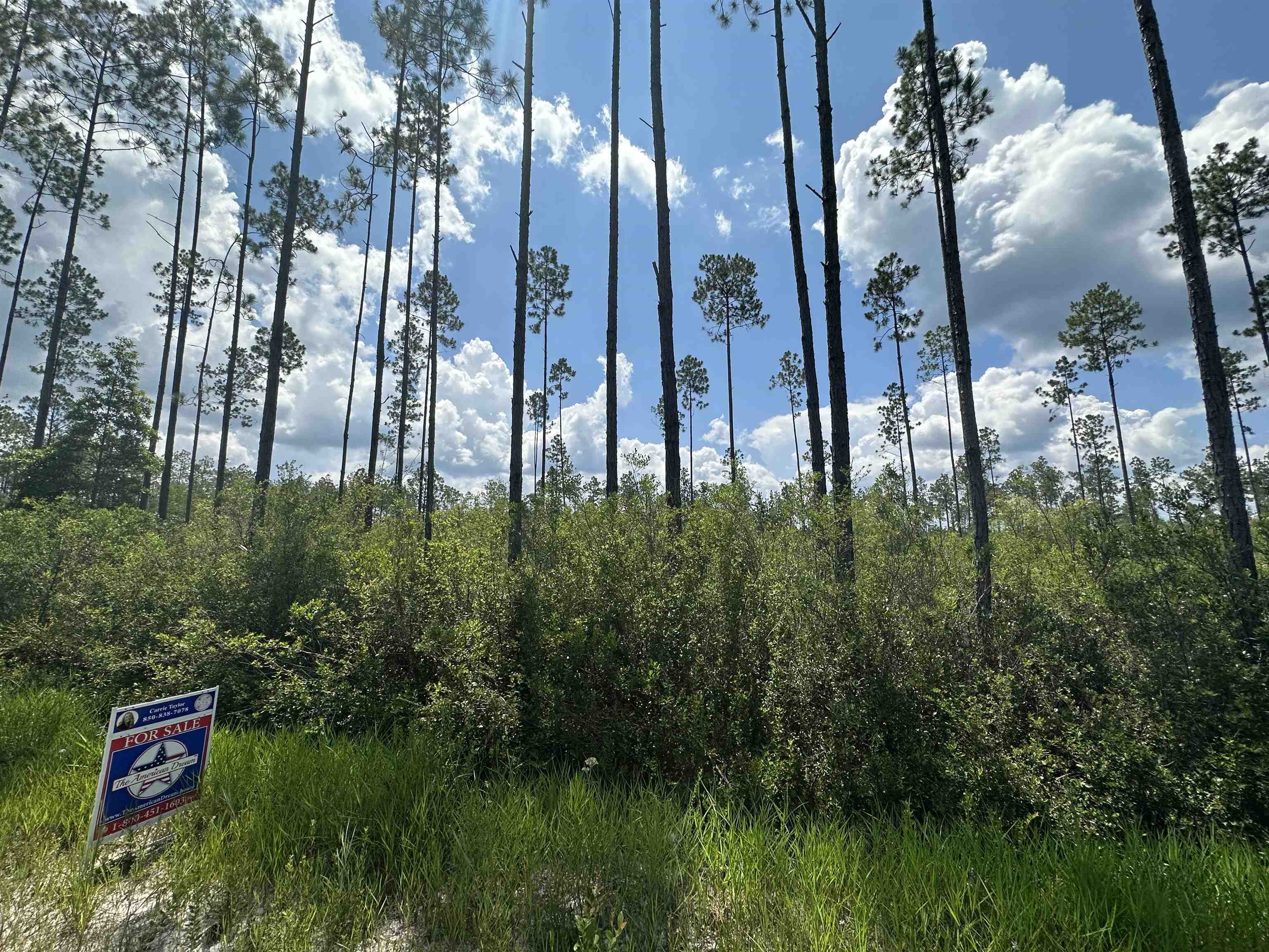 79 Circle Block Loop Perry, FL 32347 - Photo 18 of 34