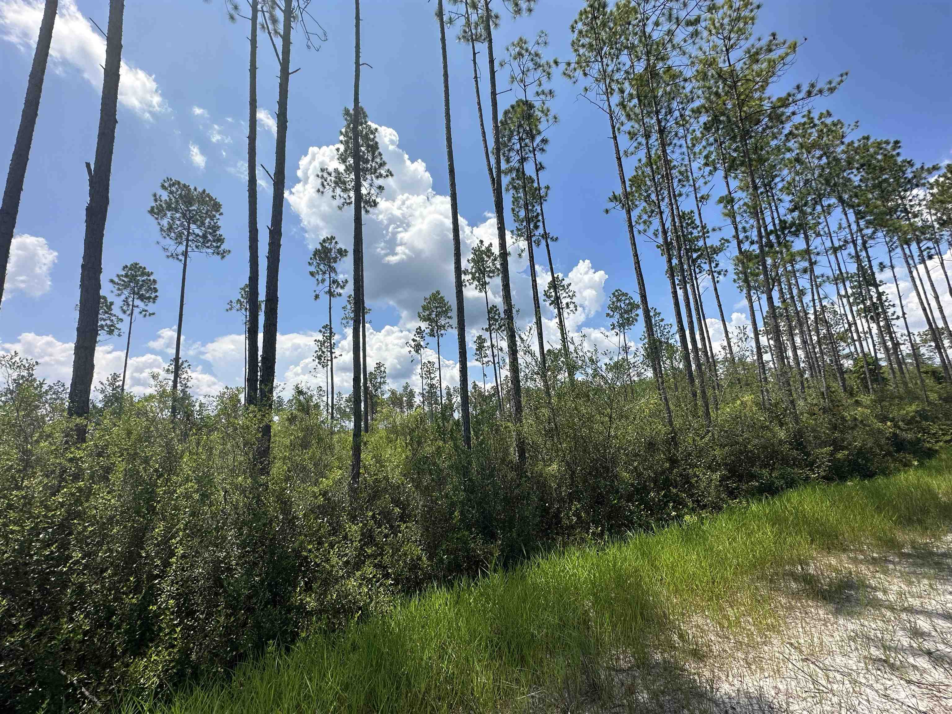 79 Circle Block Loop Perry, FL 32347 - Photo 19 of 34