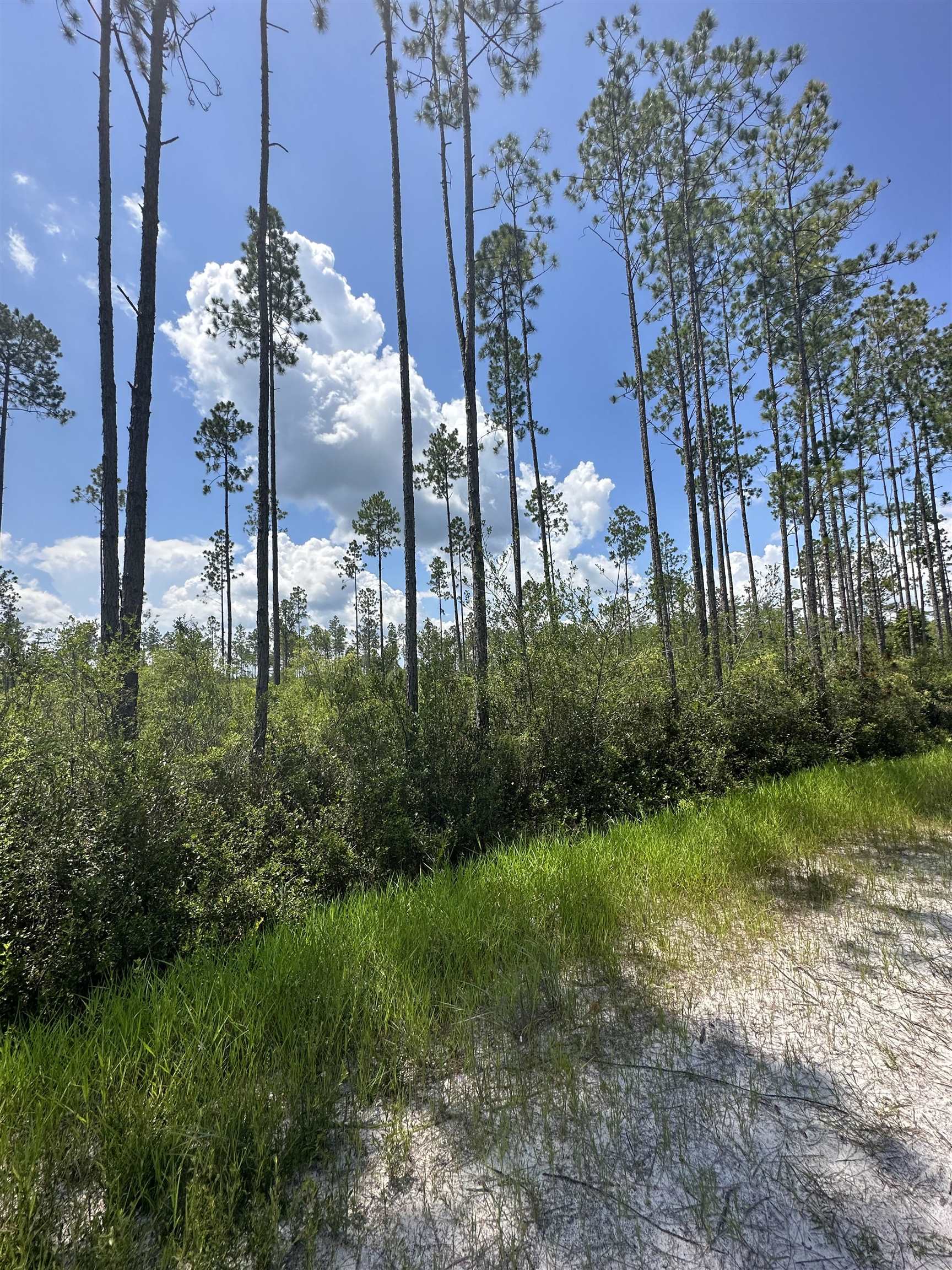 79 Circle Block Loop Perry, FL 32347 - Photo 20 of 34