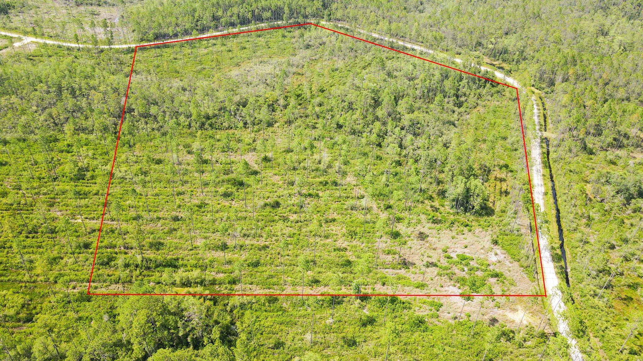 79 Circle Block Loop Perry, FL 32347 - Photo 2 of 34