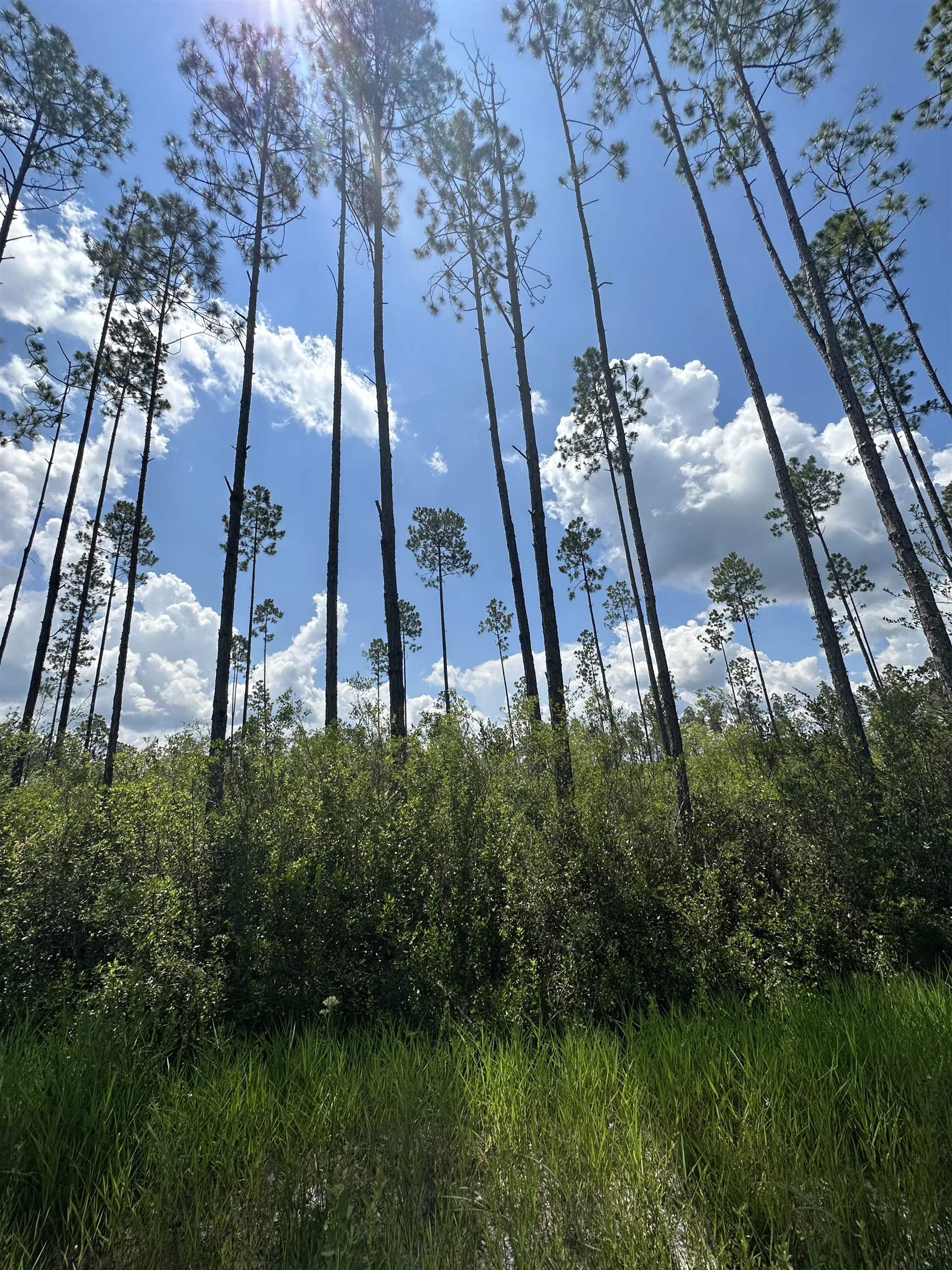 79 Circle Block Loop Perry, FL 32347 - Photo 21 of 34