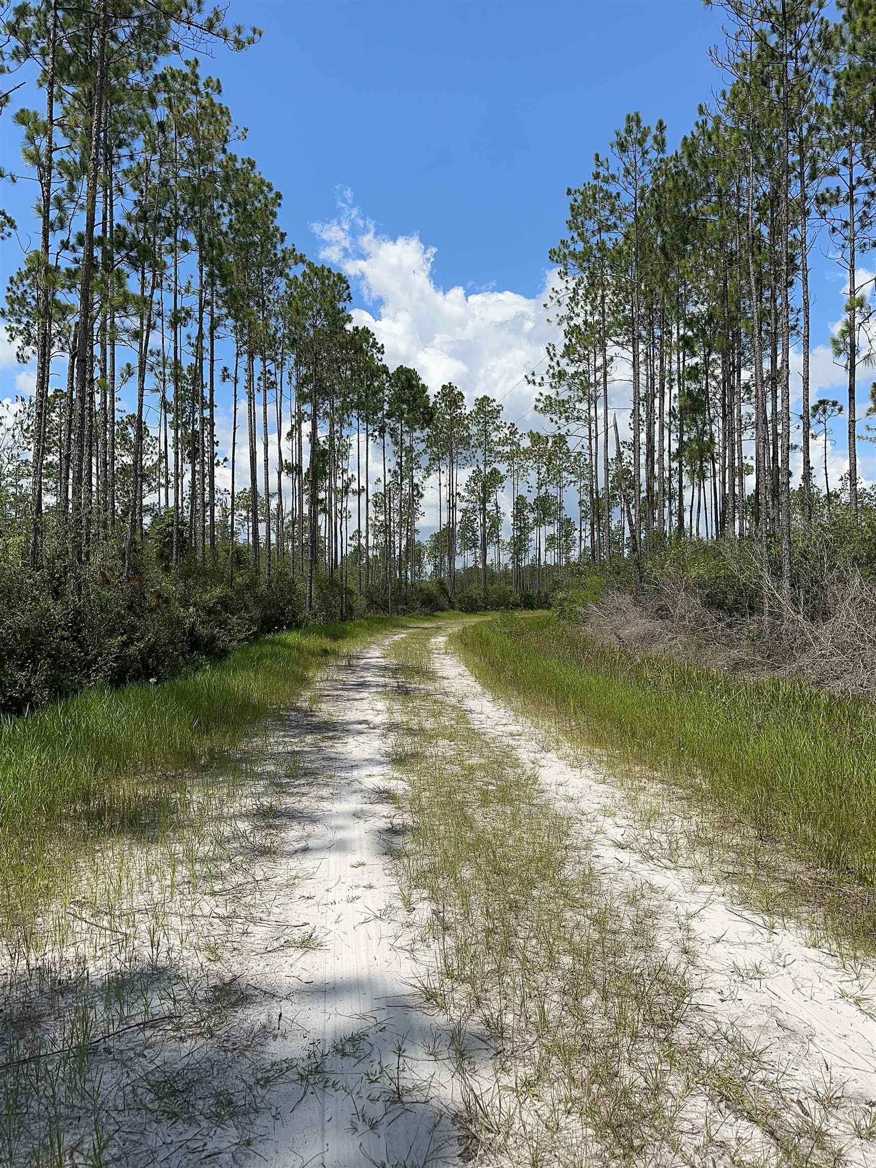 79 Circle Block Loop Perry, FL 32347 - Photo 22 of 34