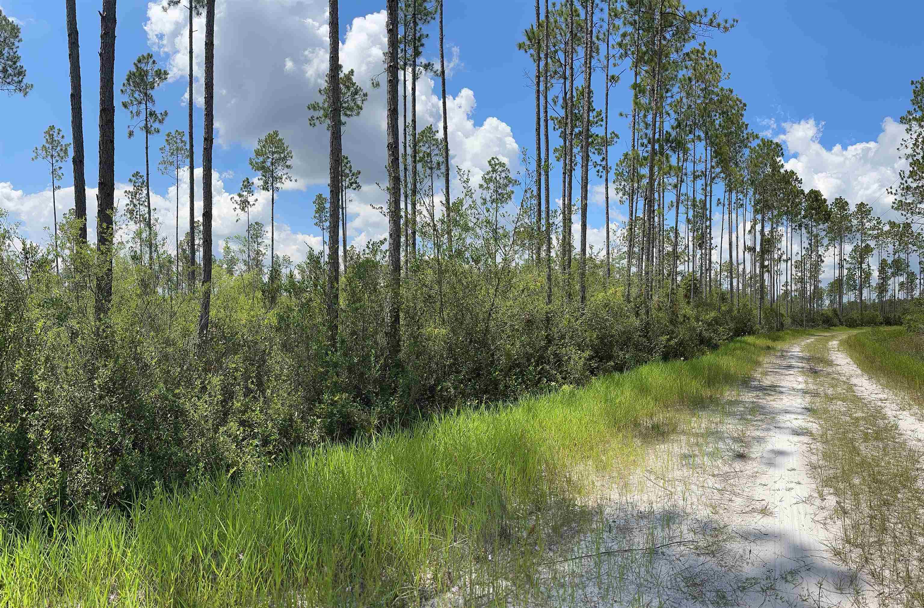 79 Circle Block Loop Perry, FL 32347 - Photo 25 of 34