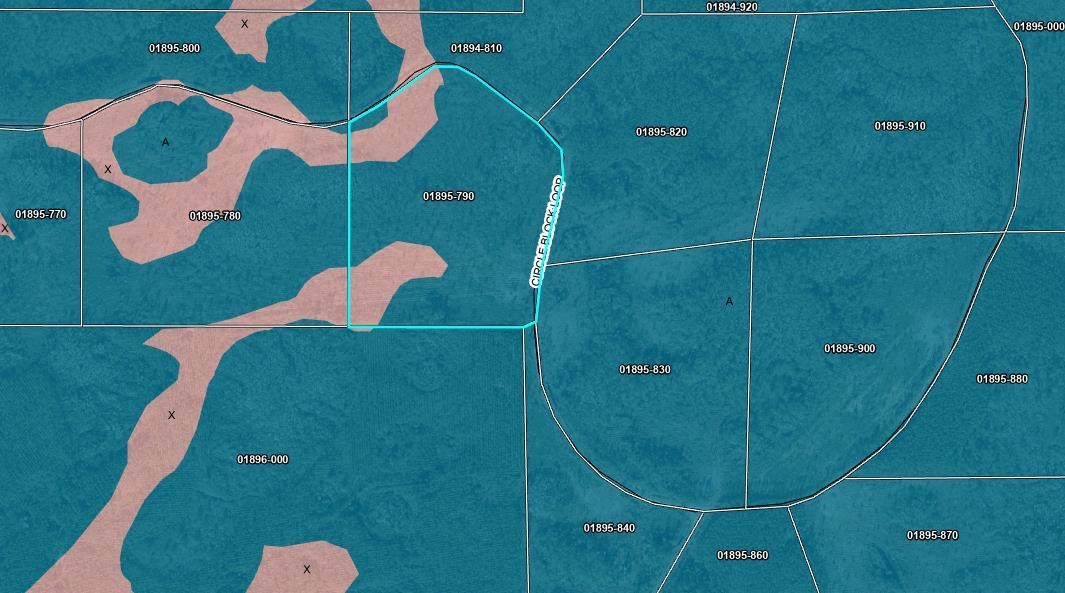 79 Circle Block Loop Perry, FL 32347 - Photo 29 of 34