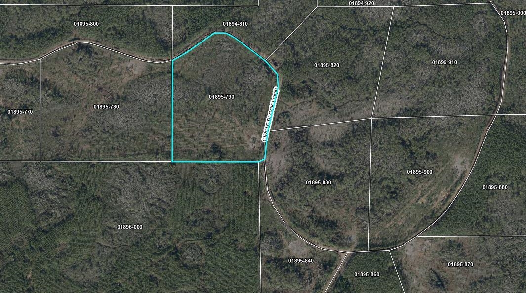 79 Circle Block Loop Perry, FL 32347 - Photo 30 of 34