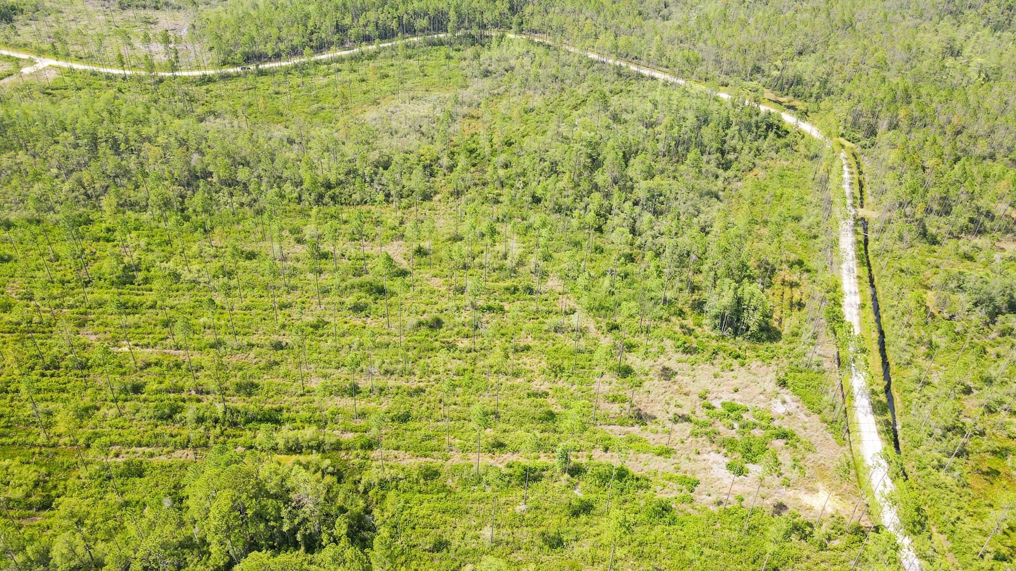 79 Circle Block Loop Perry, FL 32347 - Photo 3 of 34