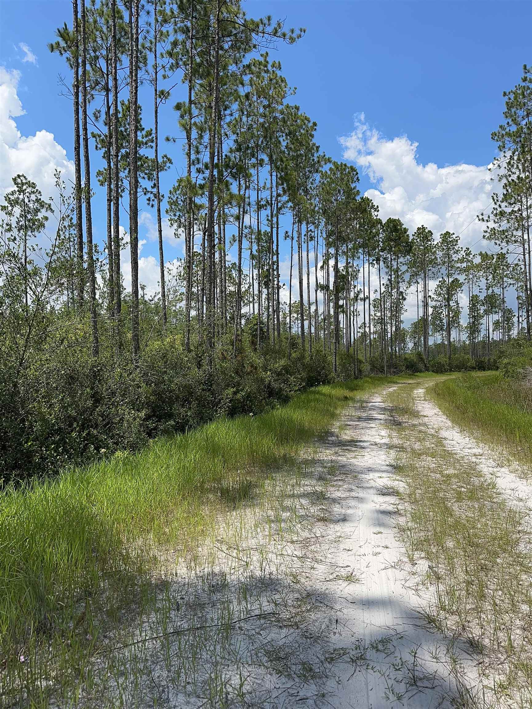 79 Circle Block Loop Perry, FL 32347 - Photo 34 of 34