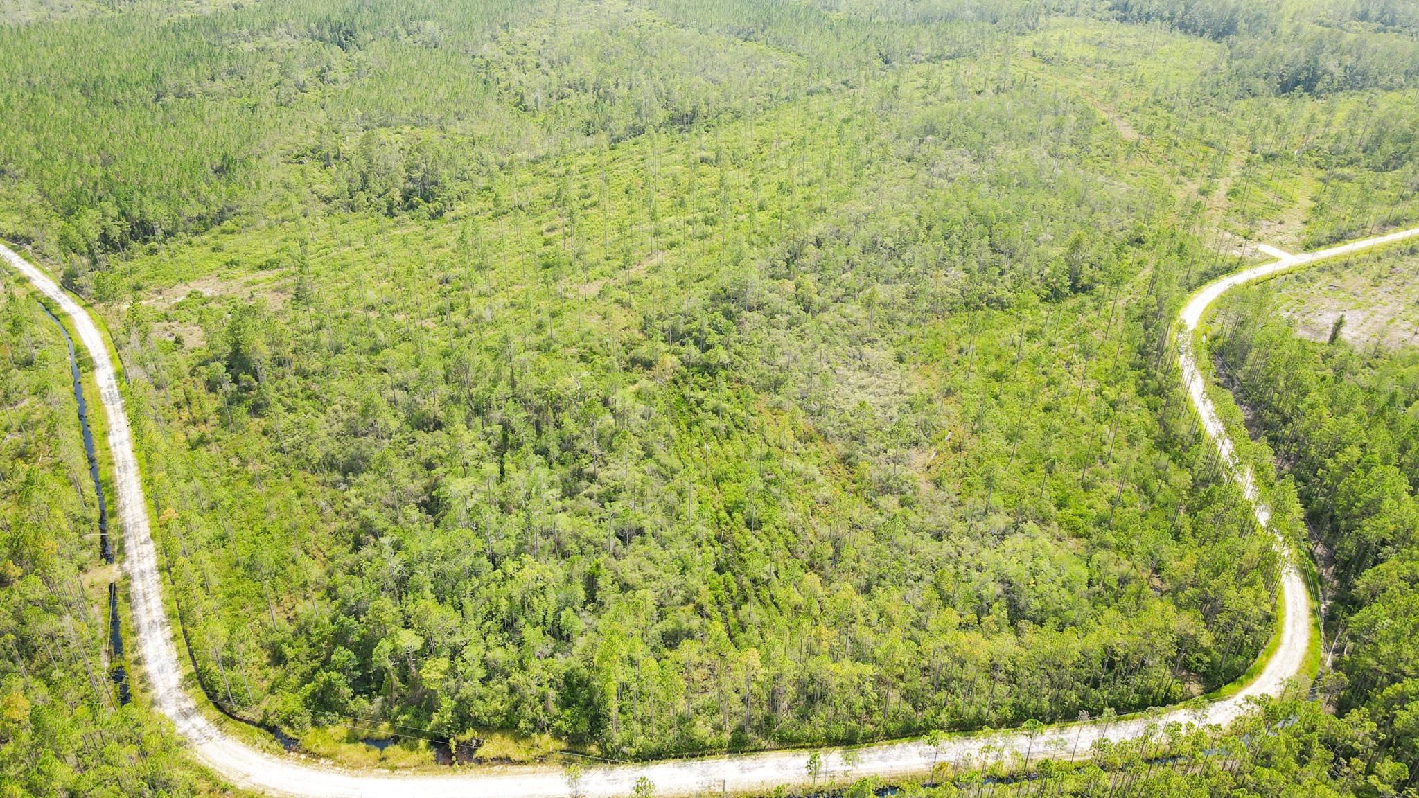 79 Circle Block Loop Perry, FL 32347 - Photo 4 of 34