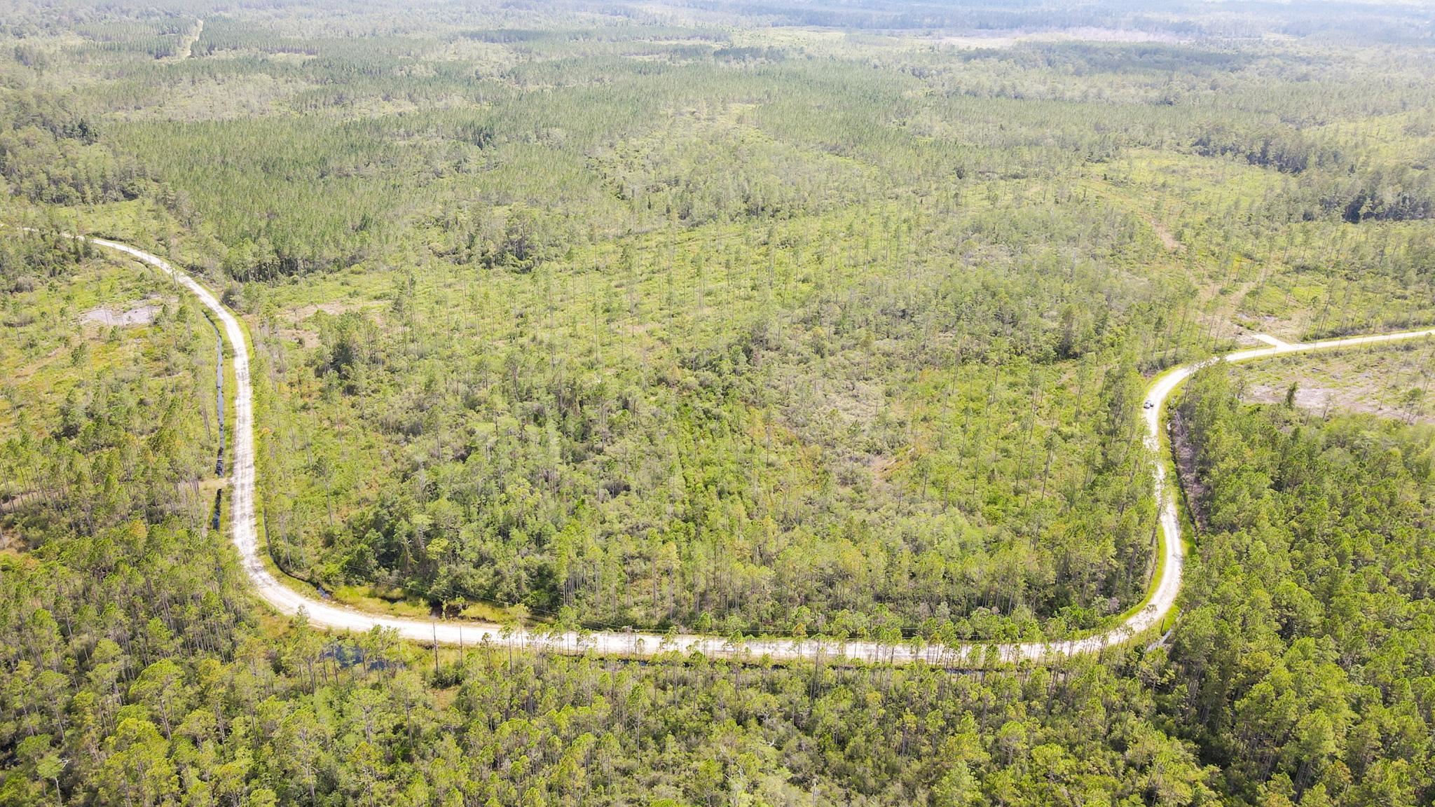 79 Circle Block Loop Perry, FL 32347 - Photo 5 of 34