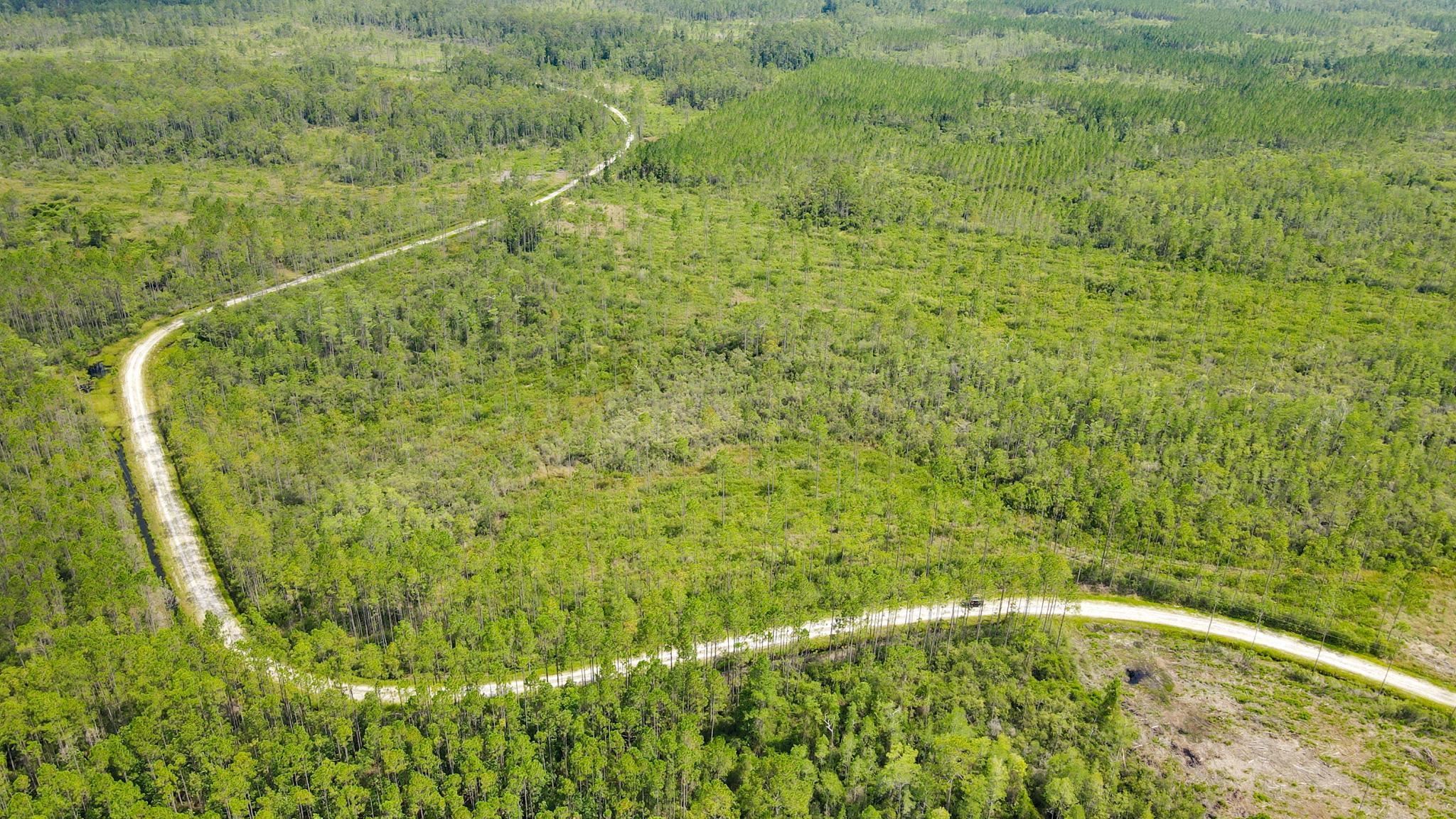 79 Circle Block Loop Perry, FL 32347 - Photo 8 of 34