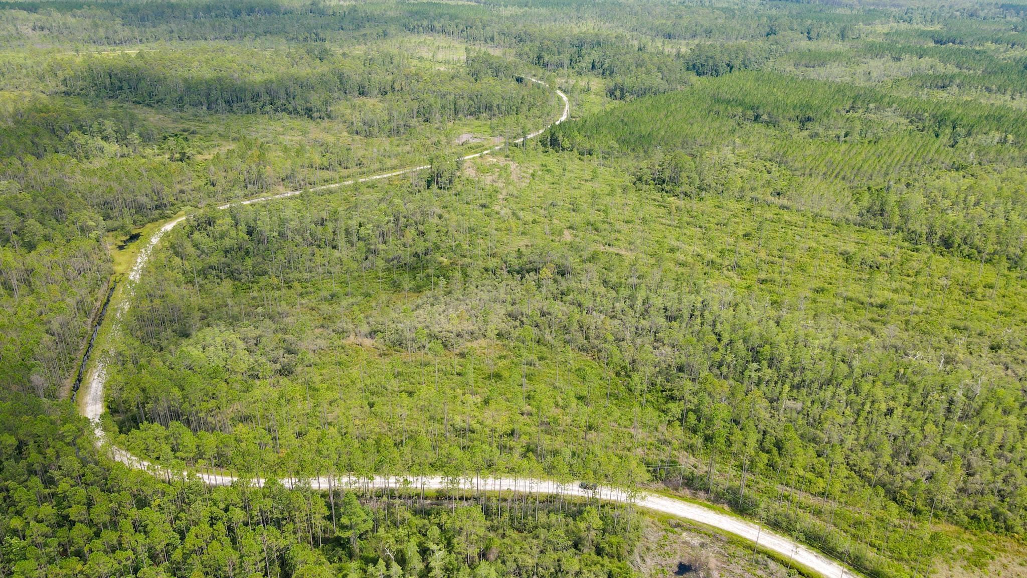 79 Circle Block Loop Perry, FL 32347 - Photo 9 of 34