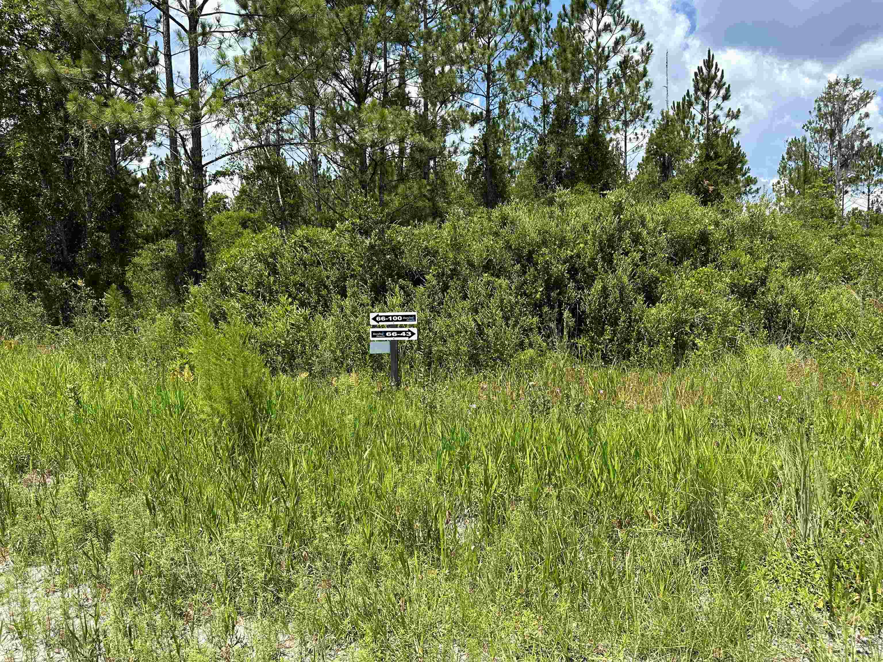 79 Circle Block Loop Perry, FL 32347 - Photo 10 of 34