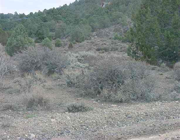 458 Tybo Road Reno, NV 89521 - Photo 1 of 1