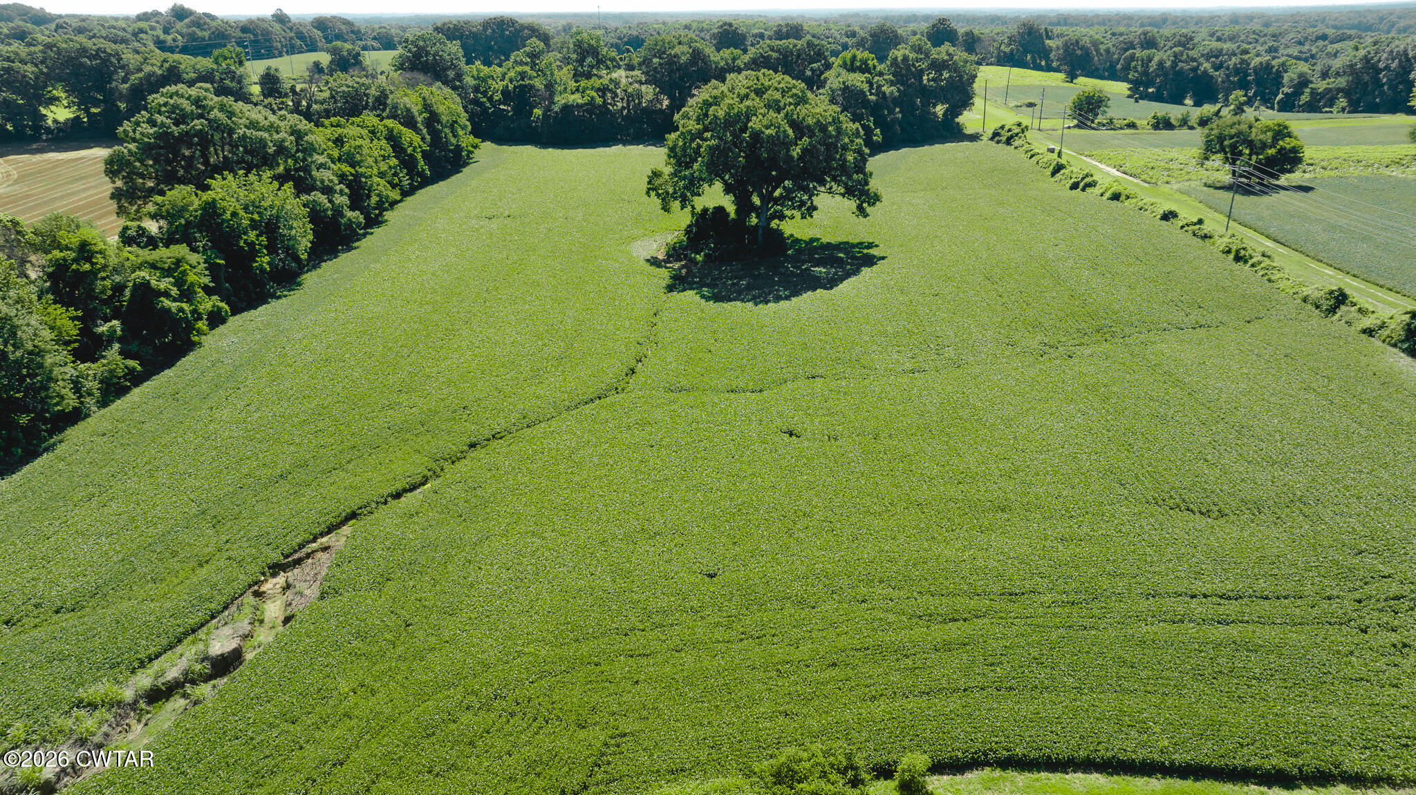 0 Oakshire Road Union City, TN 38261 - Photo 18 of 19 DJI_20260614170352_0016_D