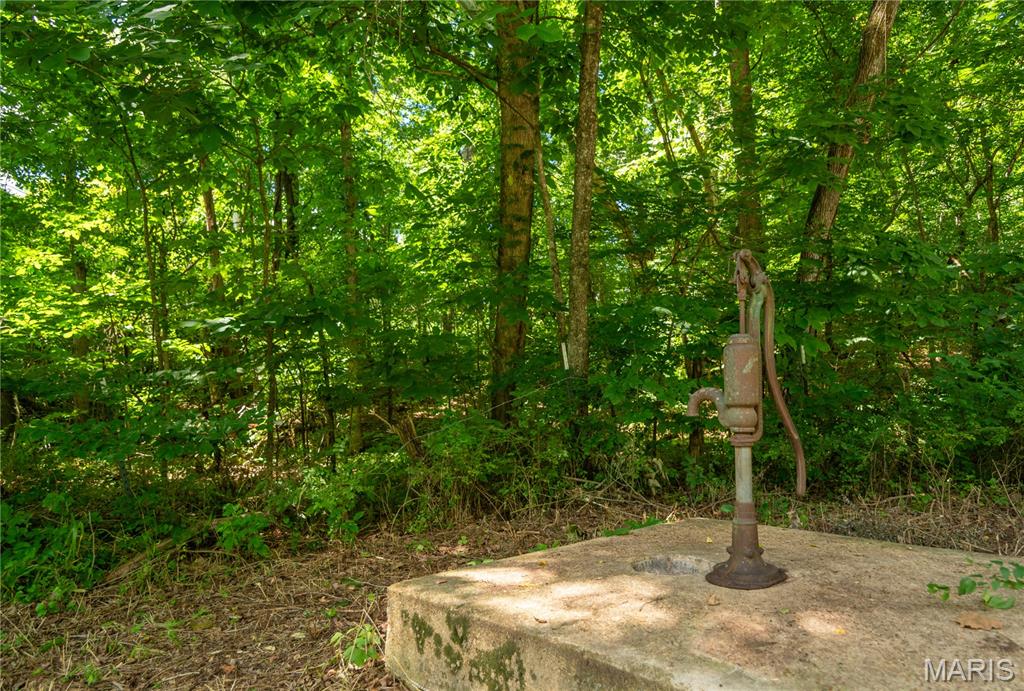 0 State Highway Mill Spring, MO 63952 - Photo 45 of 60