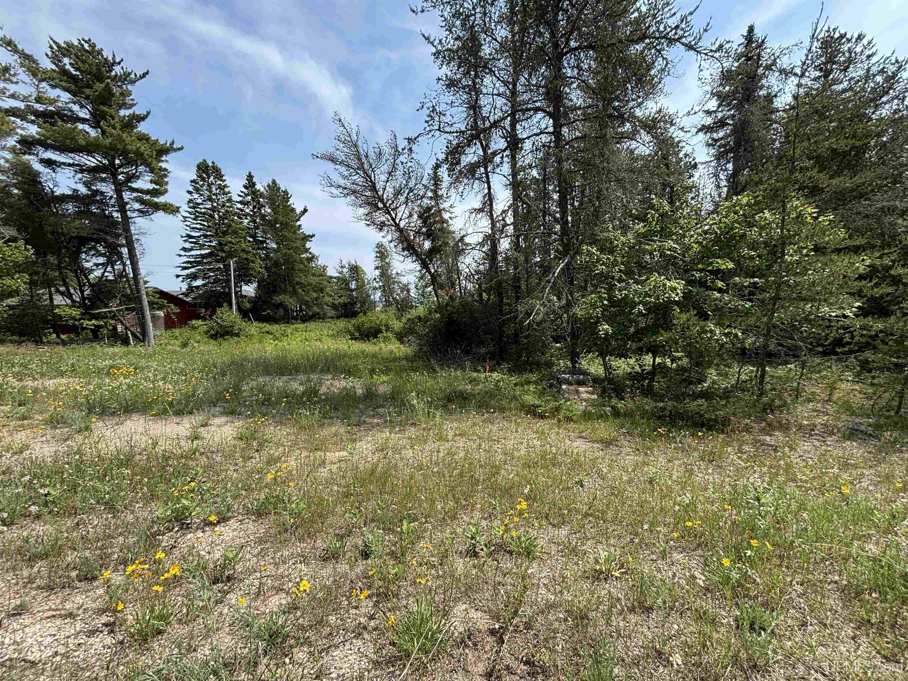 Tbd West Beach Road Naubinway, MI 49762 - Photo 8 of 45